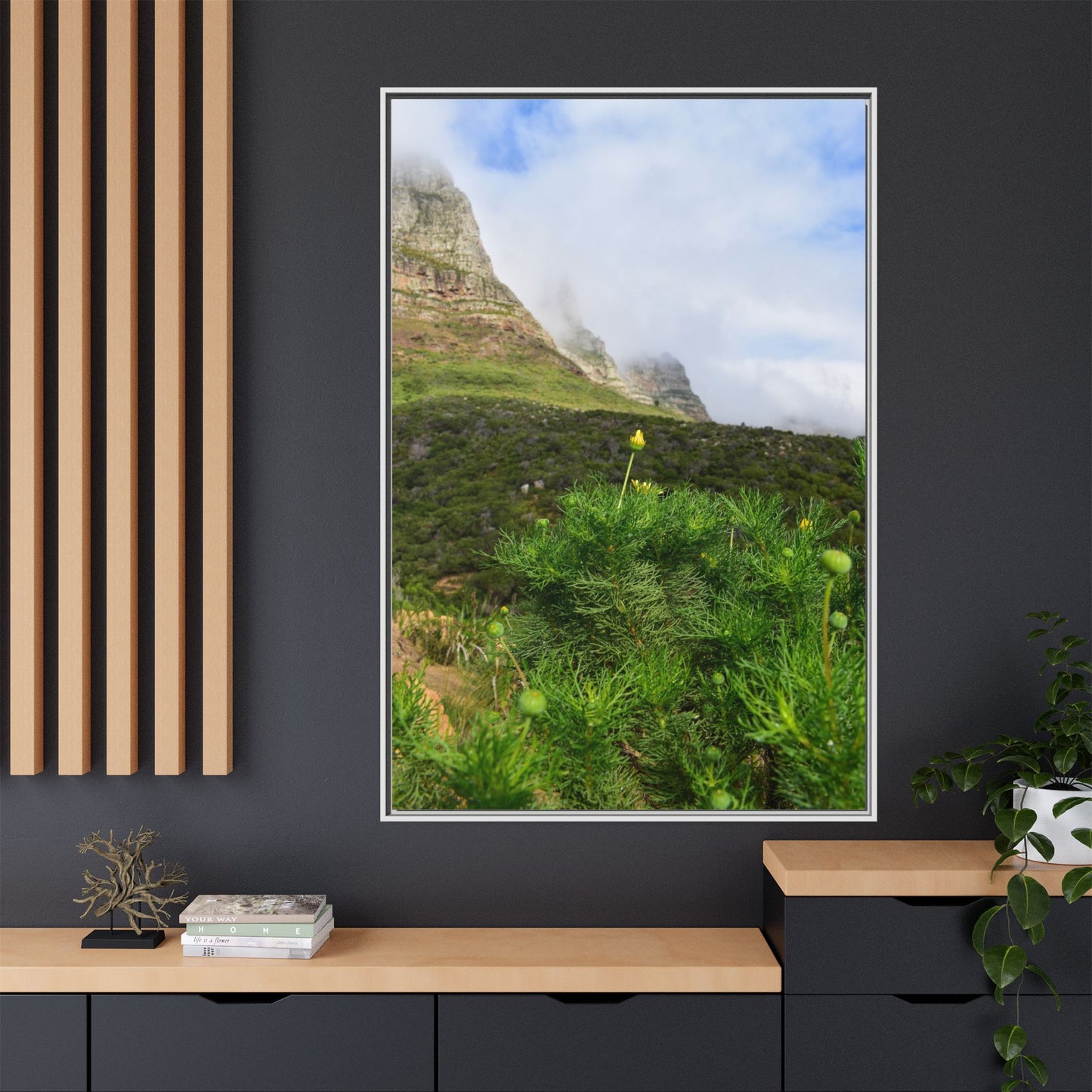 Wildflower - Capetown