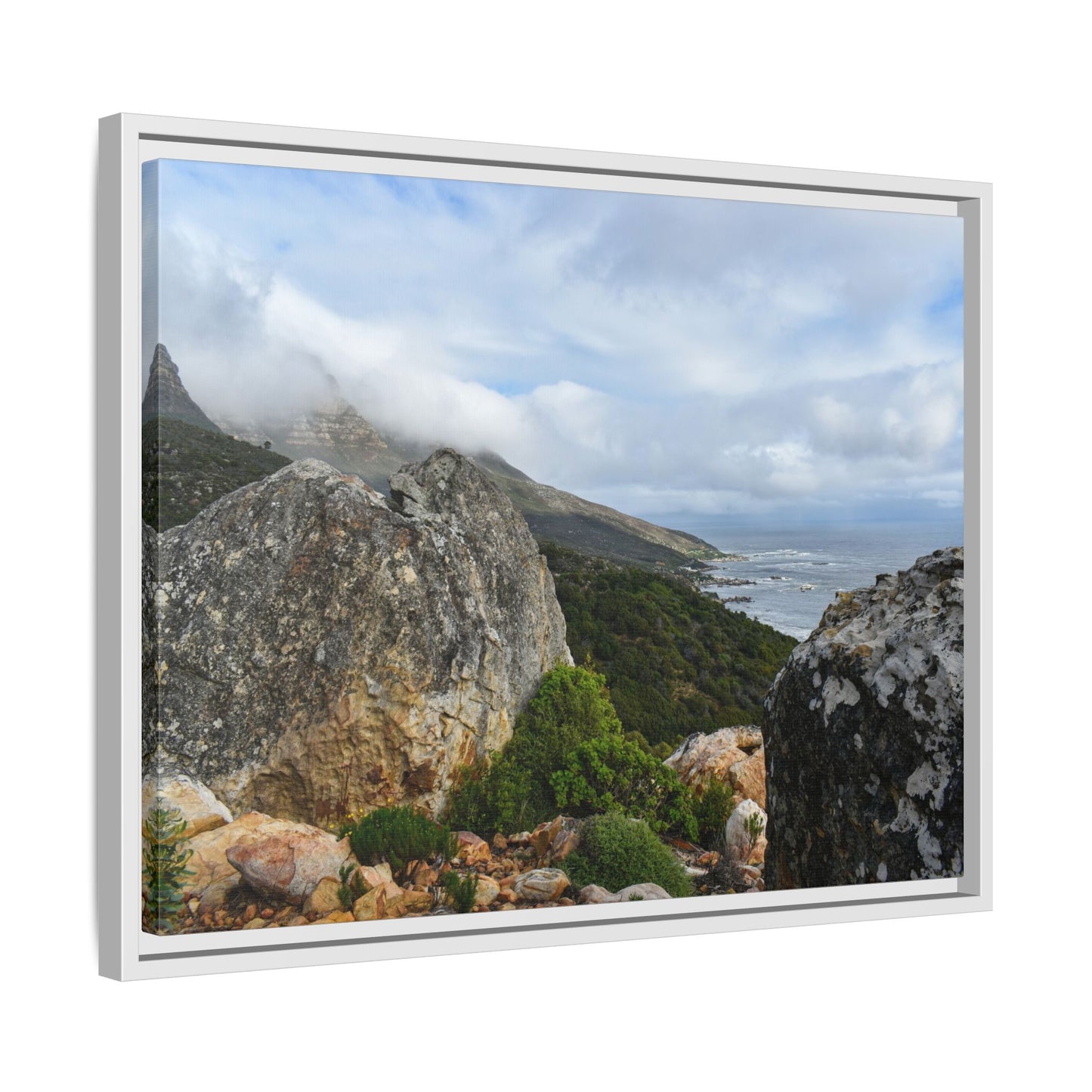 The View - Cape Town