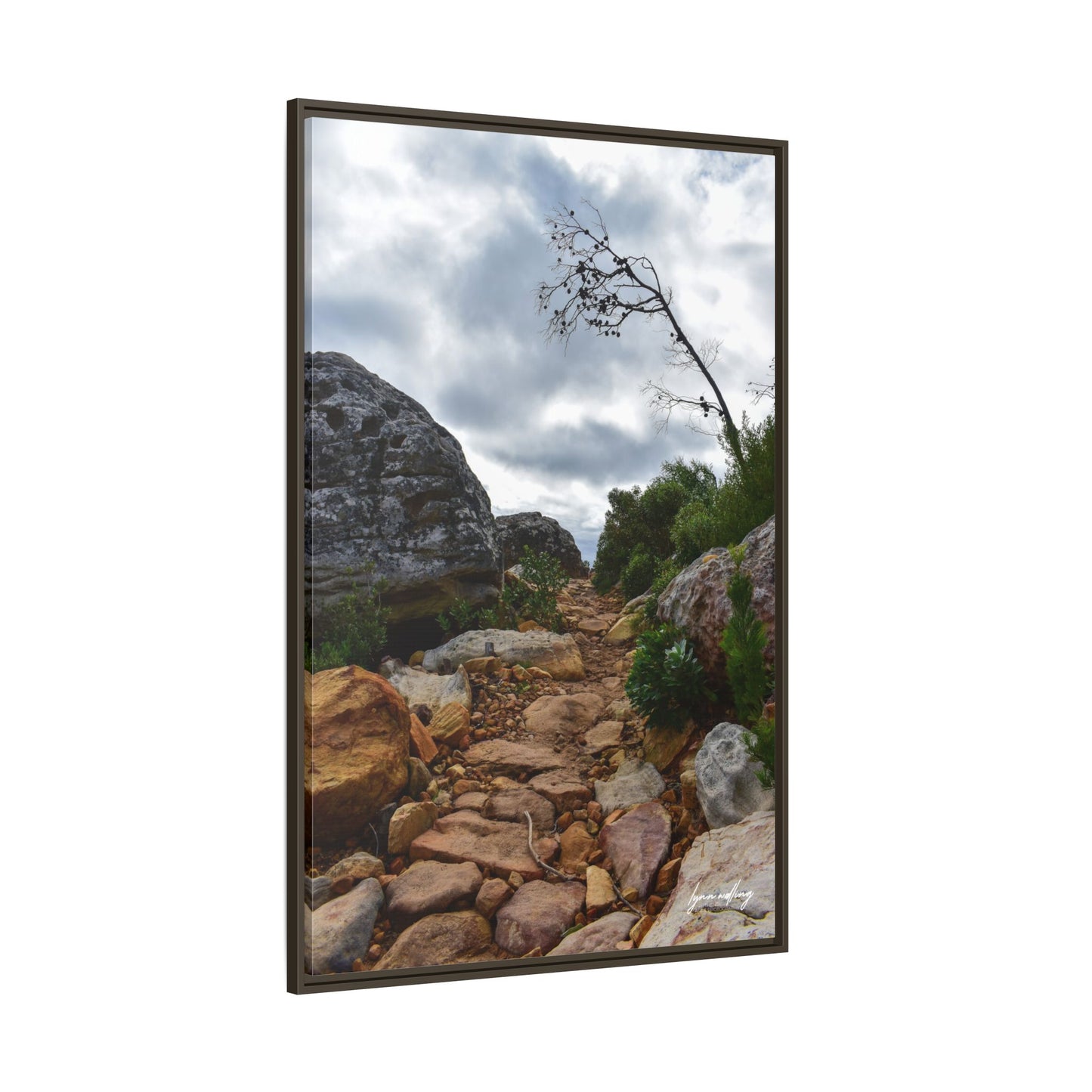 Path to Nowhere - Capetown