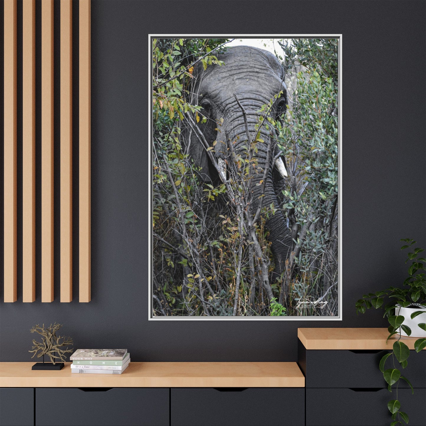 Eye to Eye - South Africa