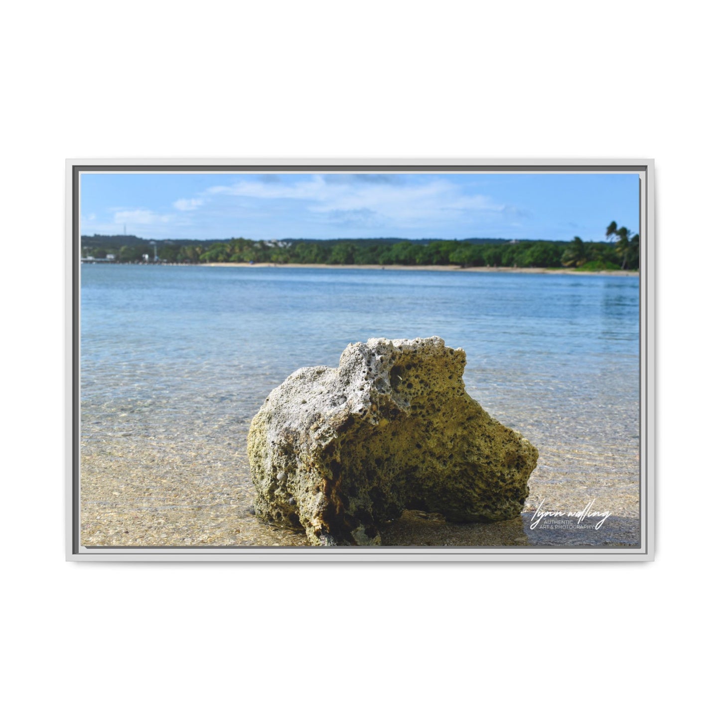 The View - Puerto Rico