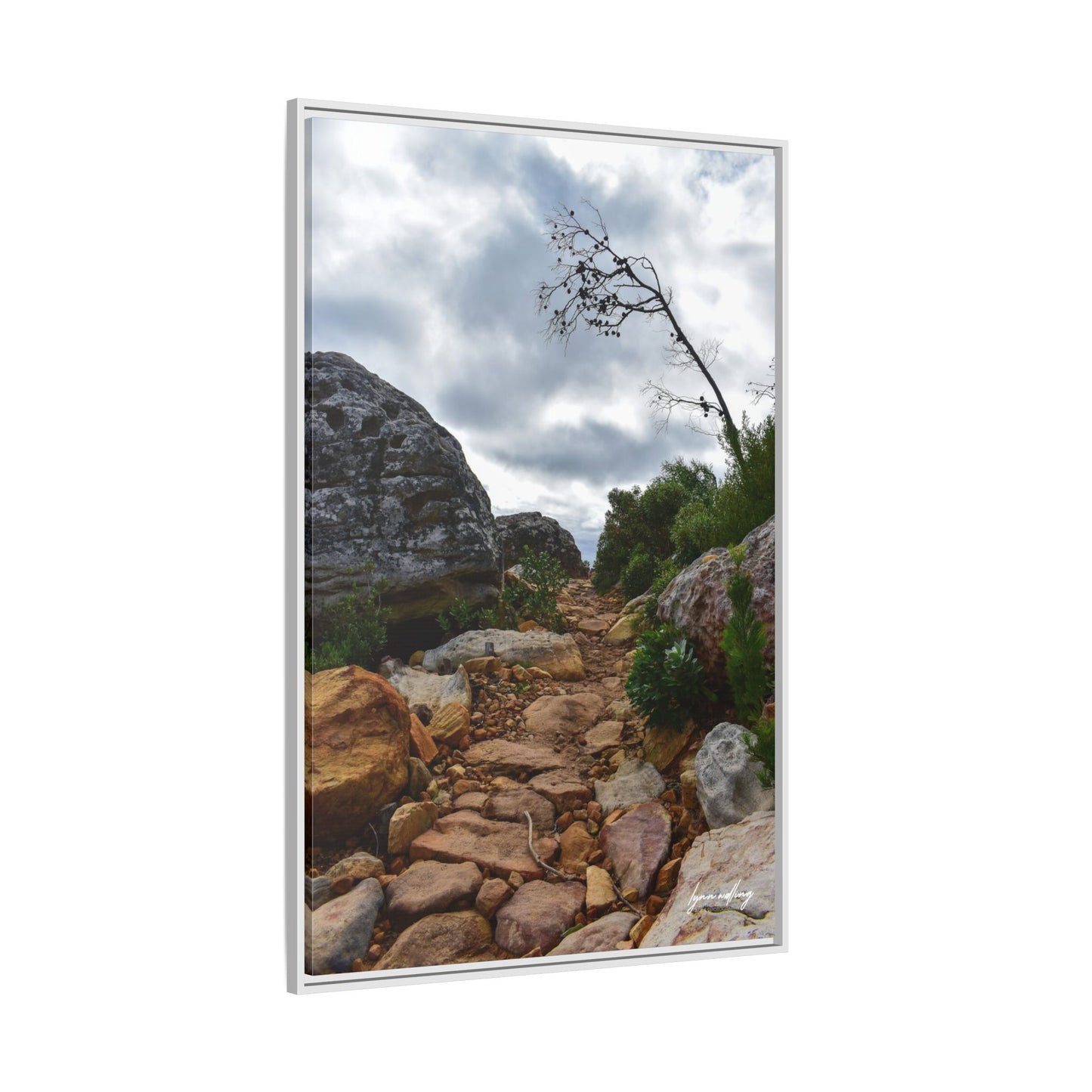 Path to Nowhere - Capetown