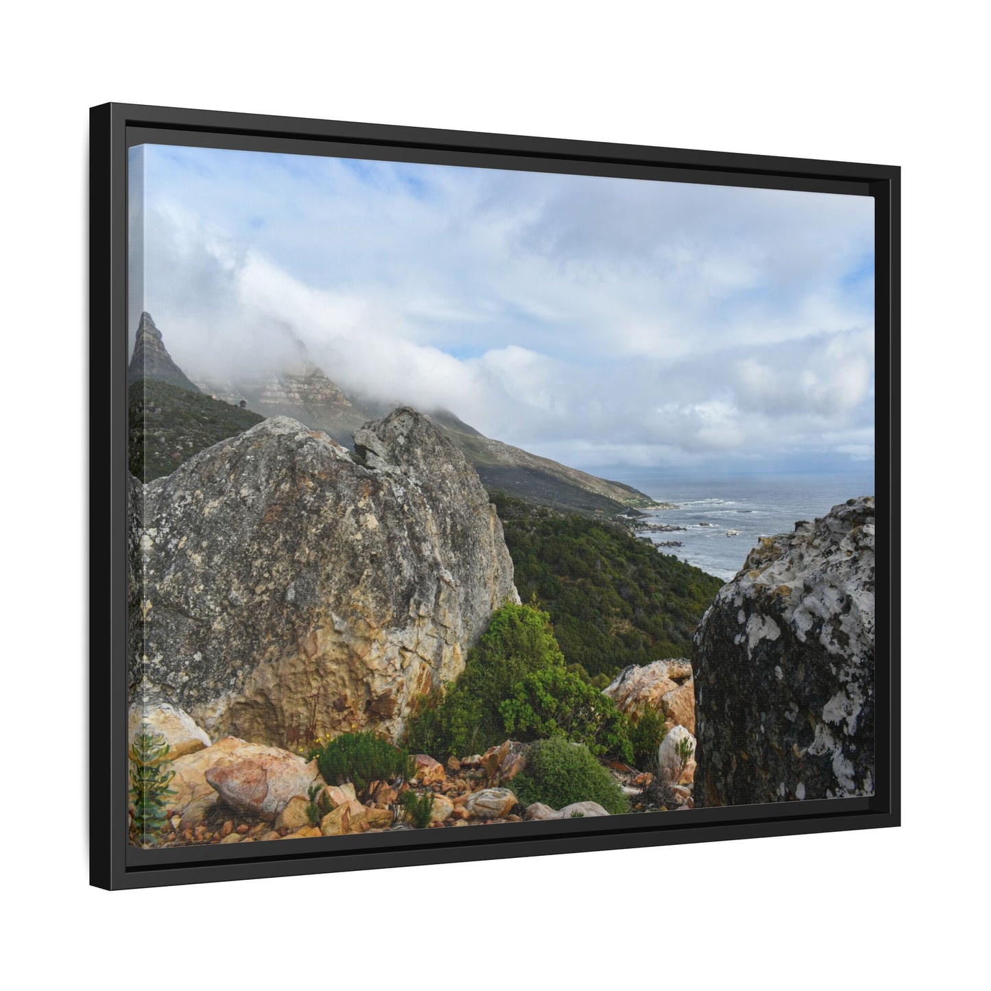 The View - Cape Town