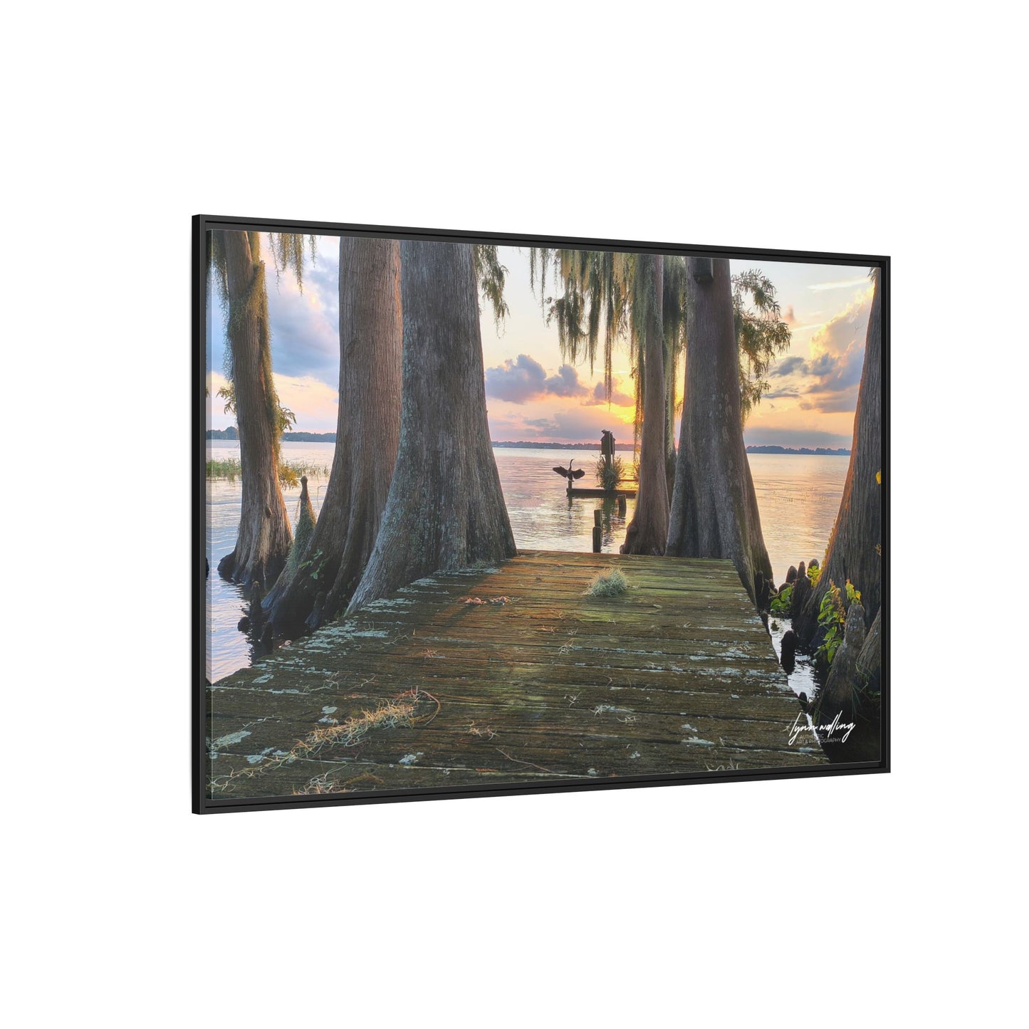 Eloise Sunset - Lakeland