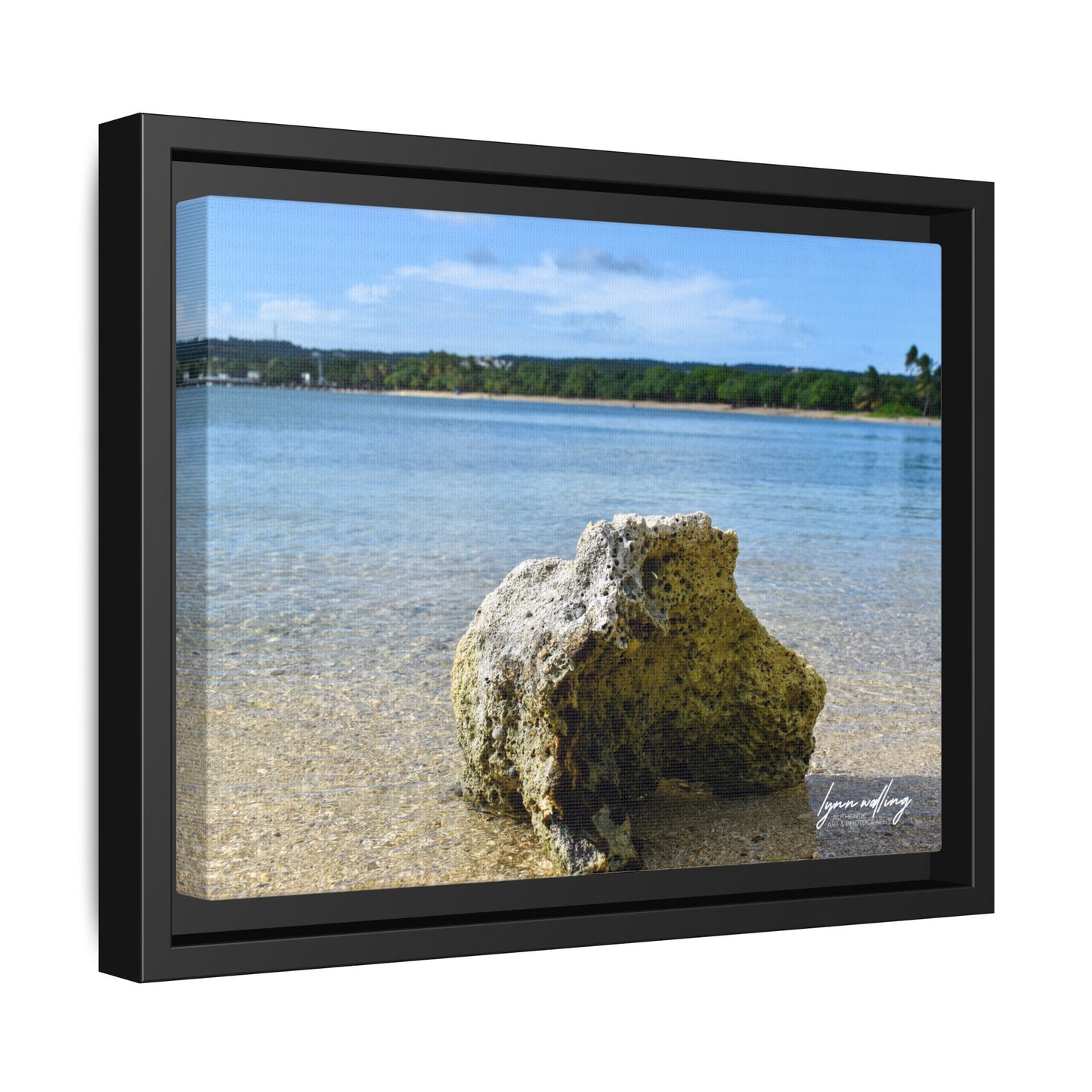 The View - Puerto Rico