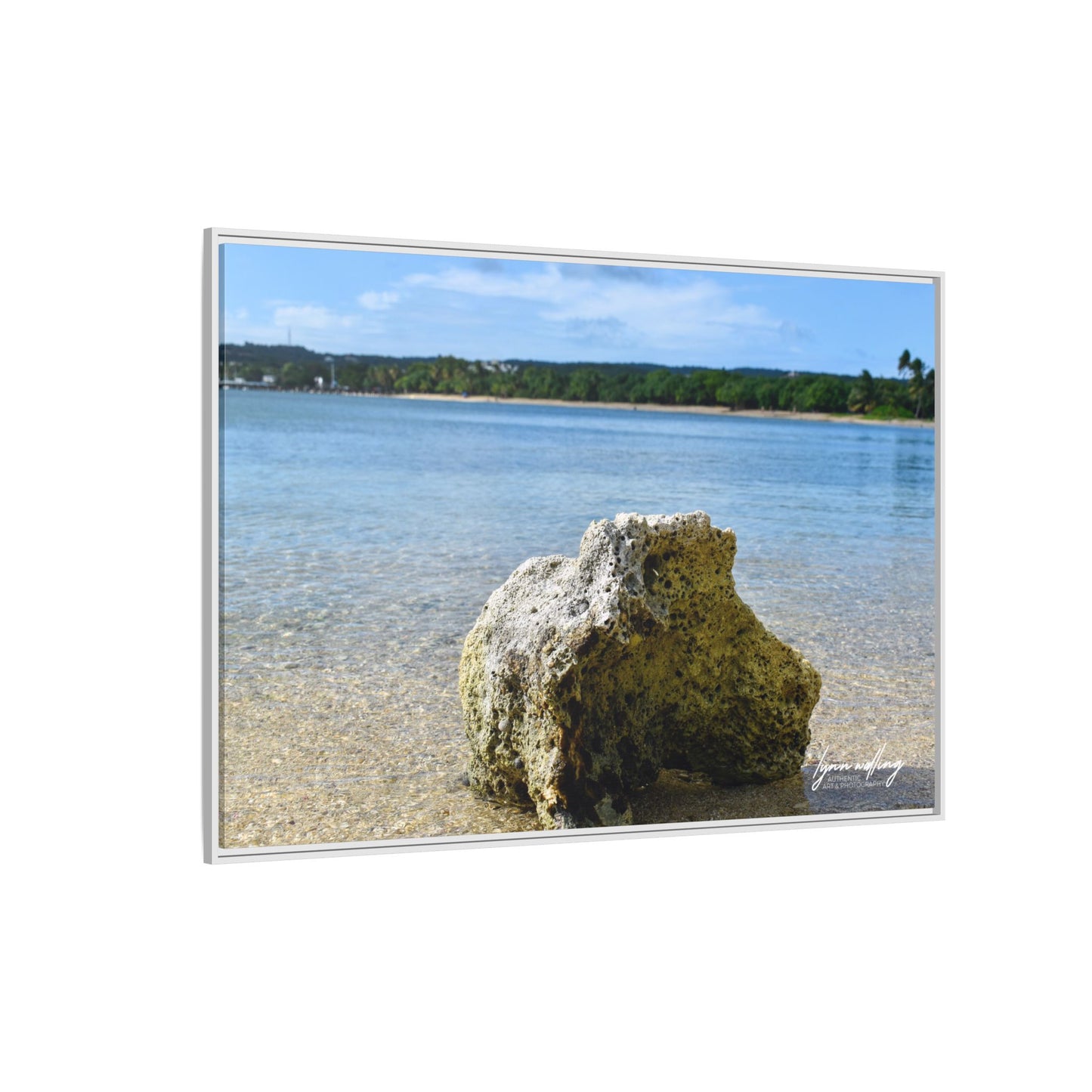 The View - Puerto Rico