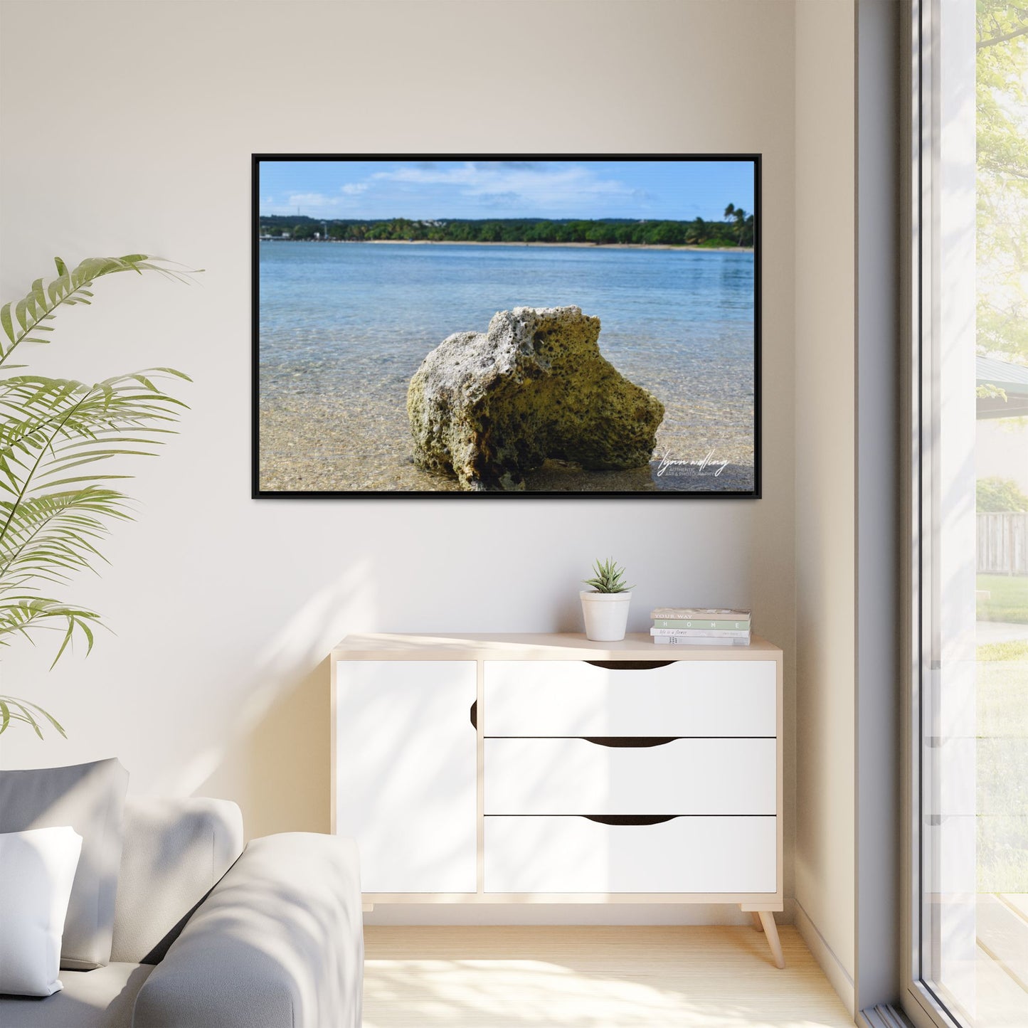 The View - Puerto Rico