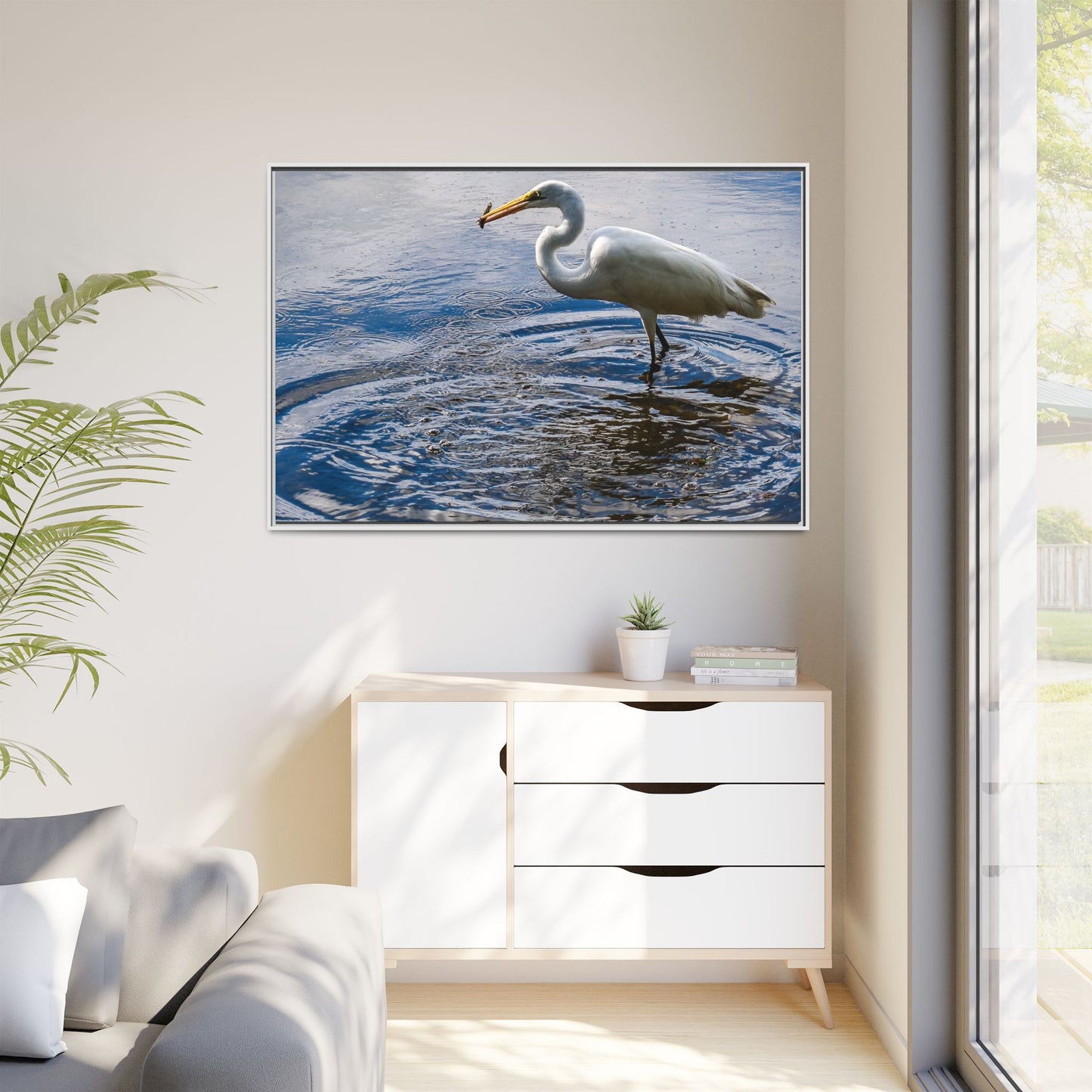 Hunting - Puerto Rico