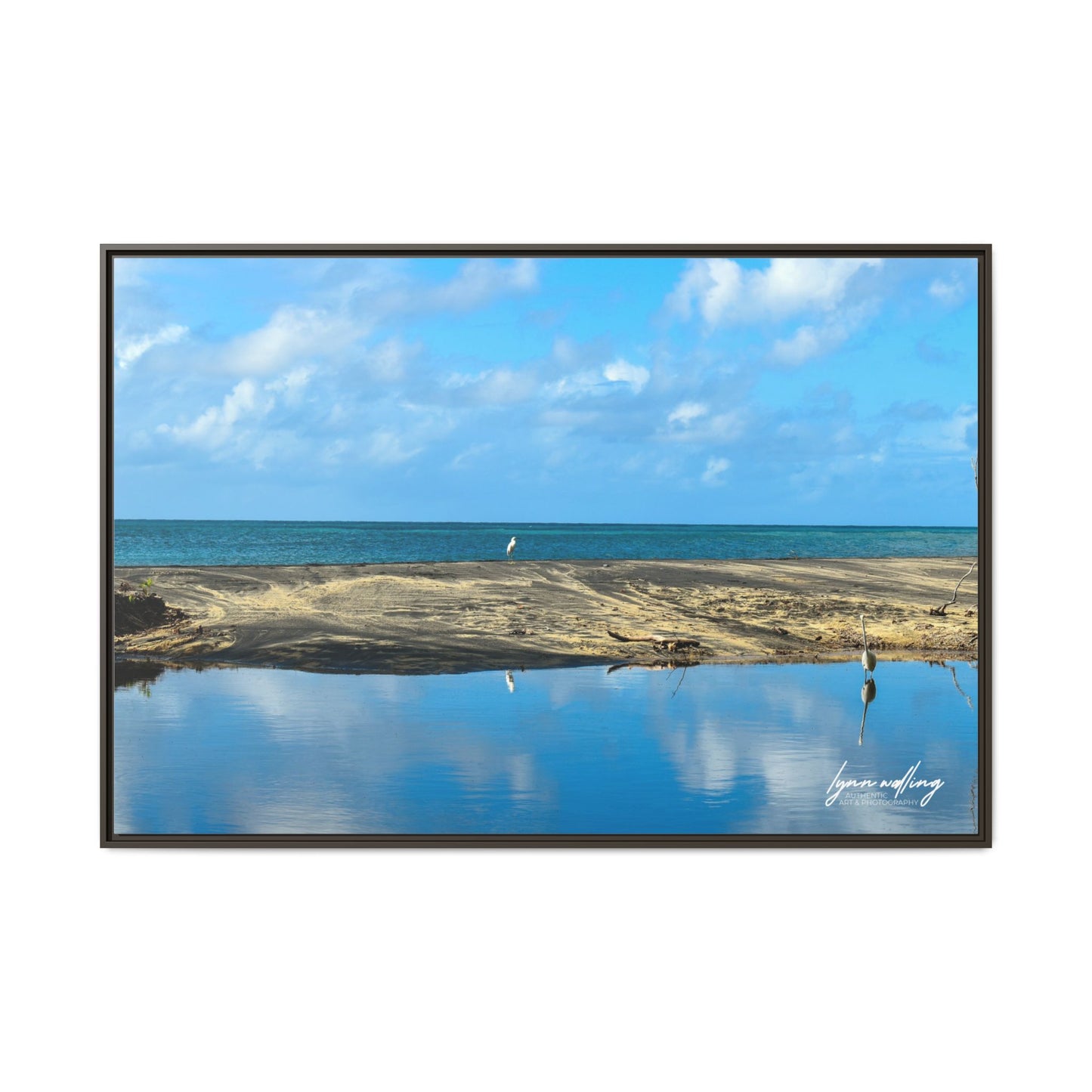 Wading - Puerto Rico