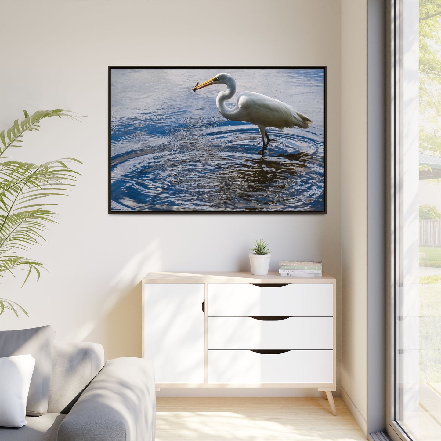 Hunting - Puerto Rico