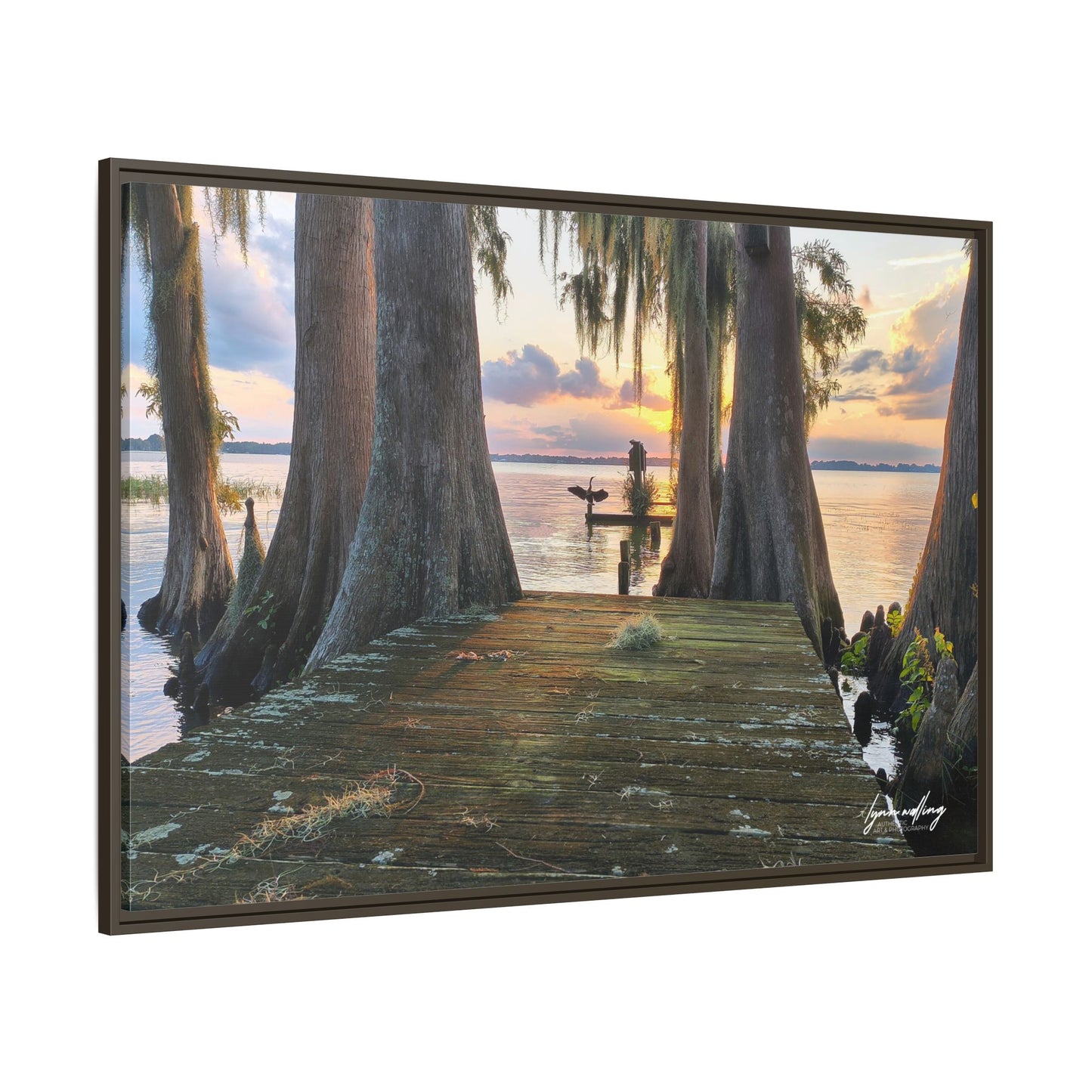 Eloise Sunset - Lakeland