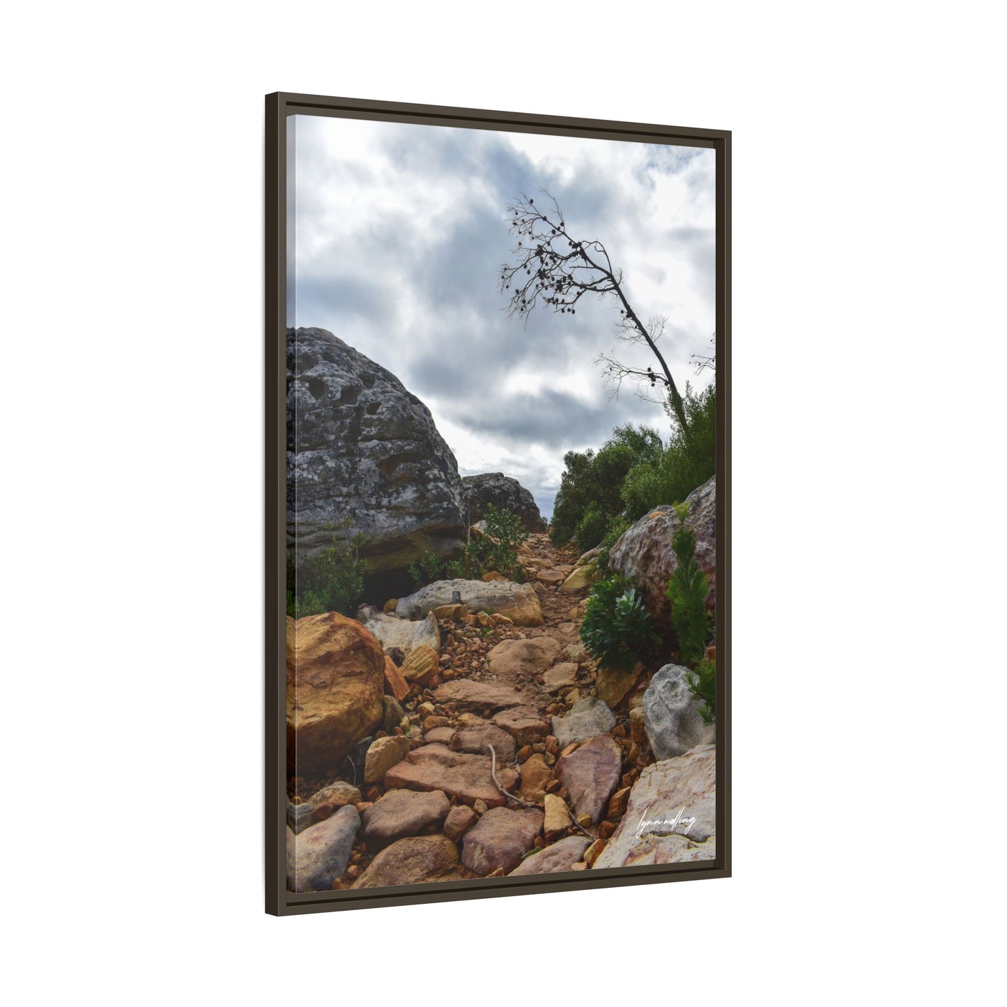 Path to Nowhere - Capetown