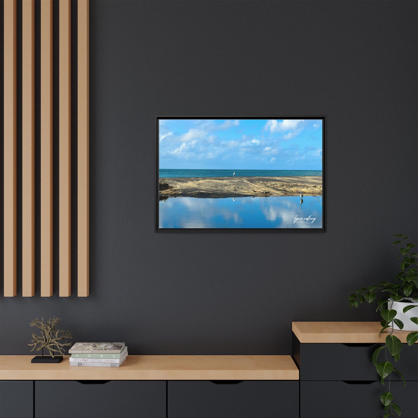 Wading - Puerto Rico