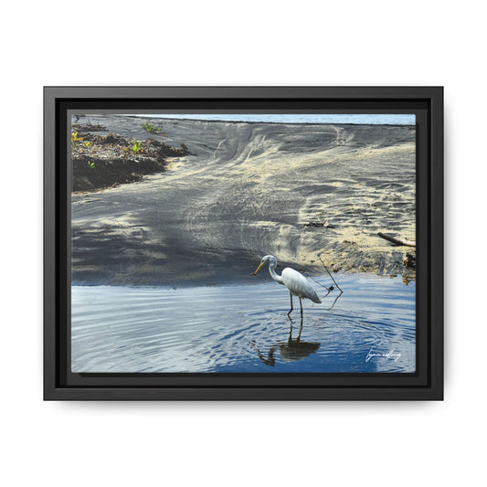 Lagoon Hunting - Puerto Rico