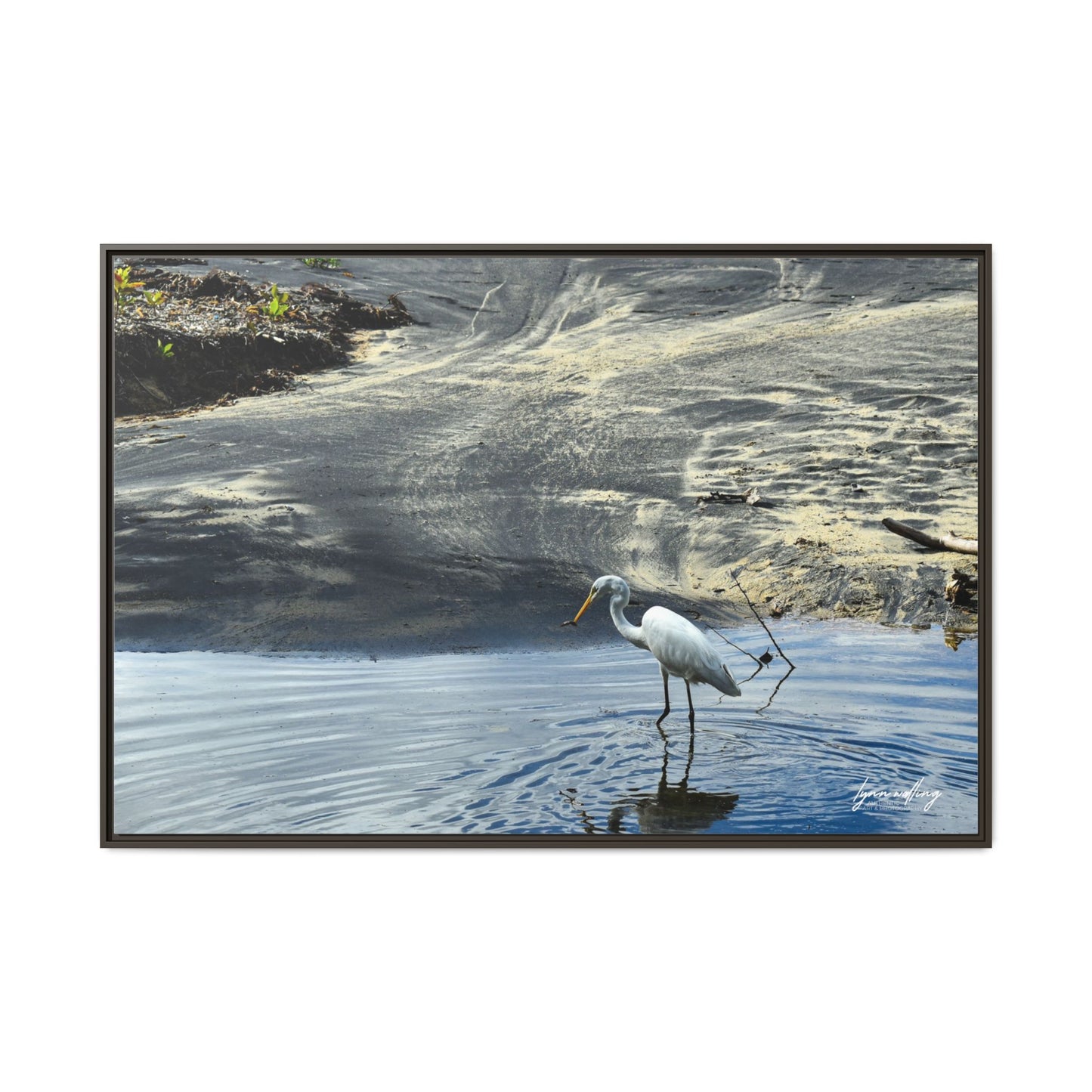 Lagoon Hunting - Puerto Rico