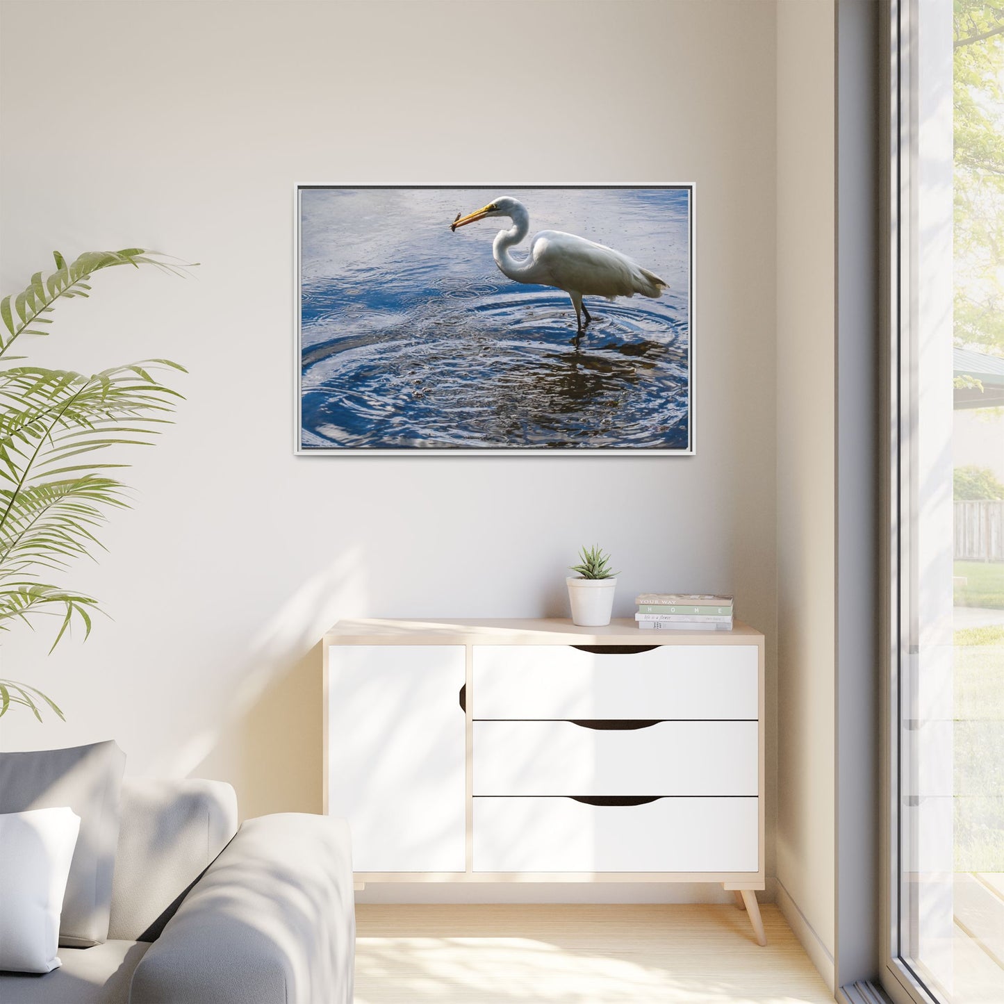 Hunting - Puerto Rico