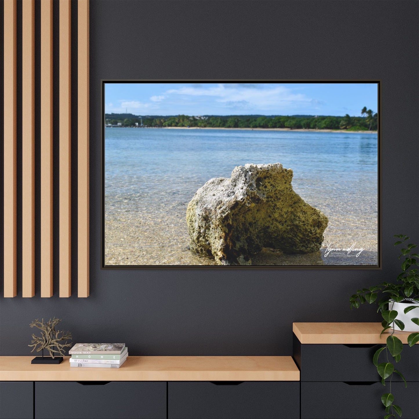 The View - Puerto Rico