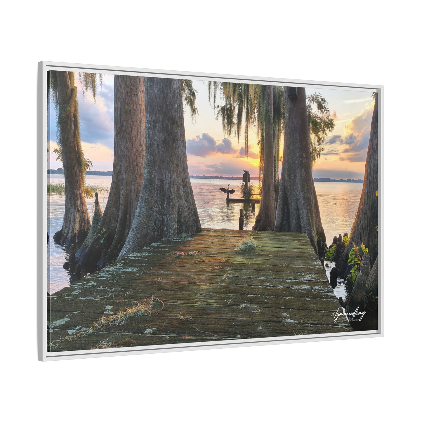 Eloise Sunset - Lakeland