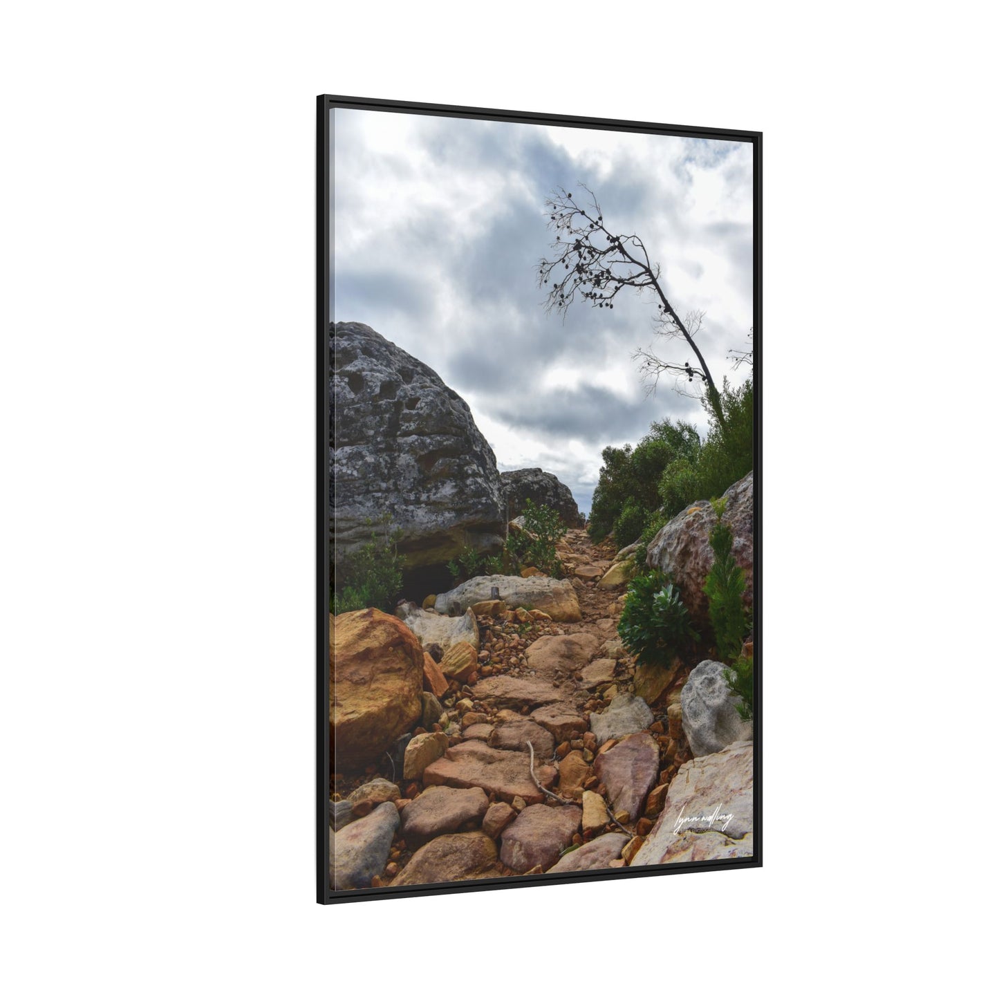 Path to Nowhere - Capetown