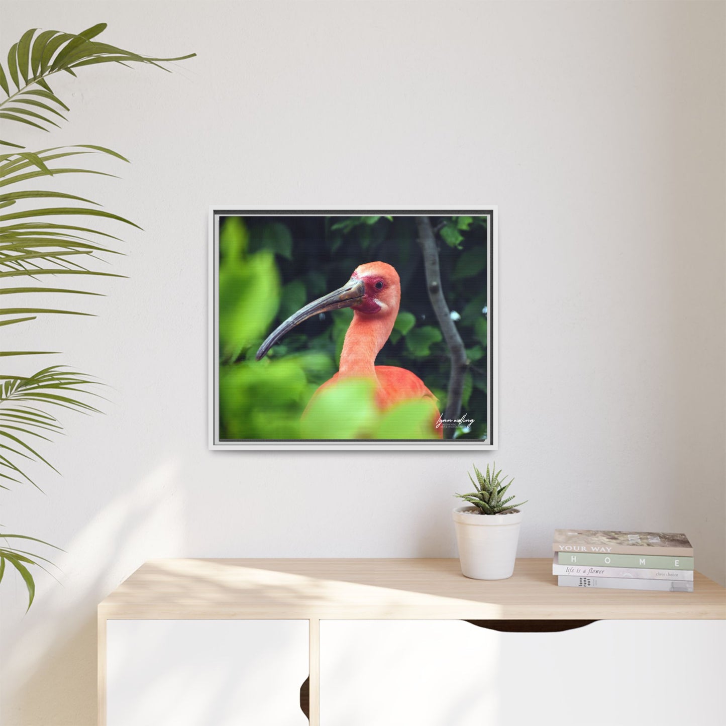 Wanna Be Flamingo - Switzerland