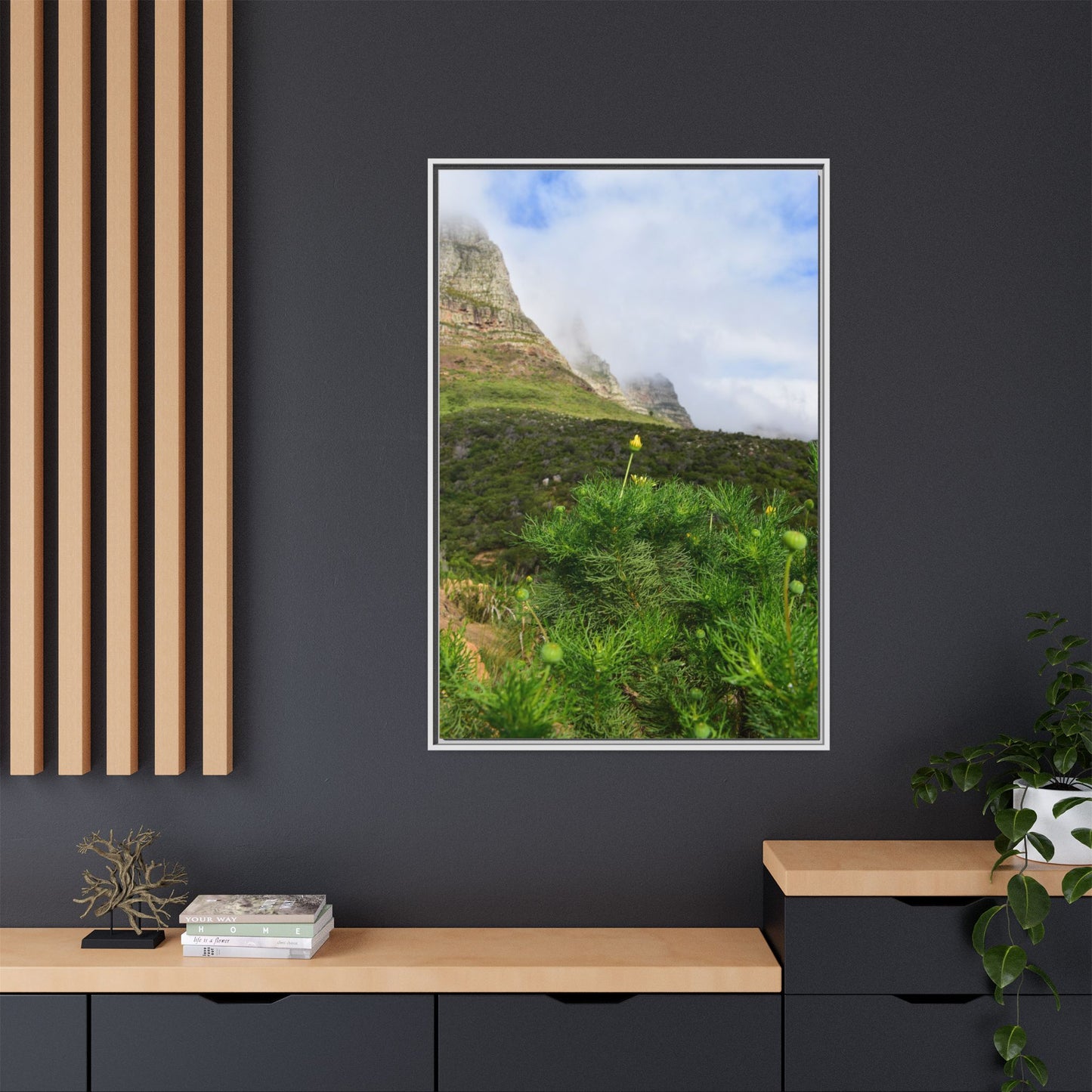 Wildflower - Capetown