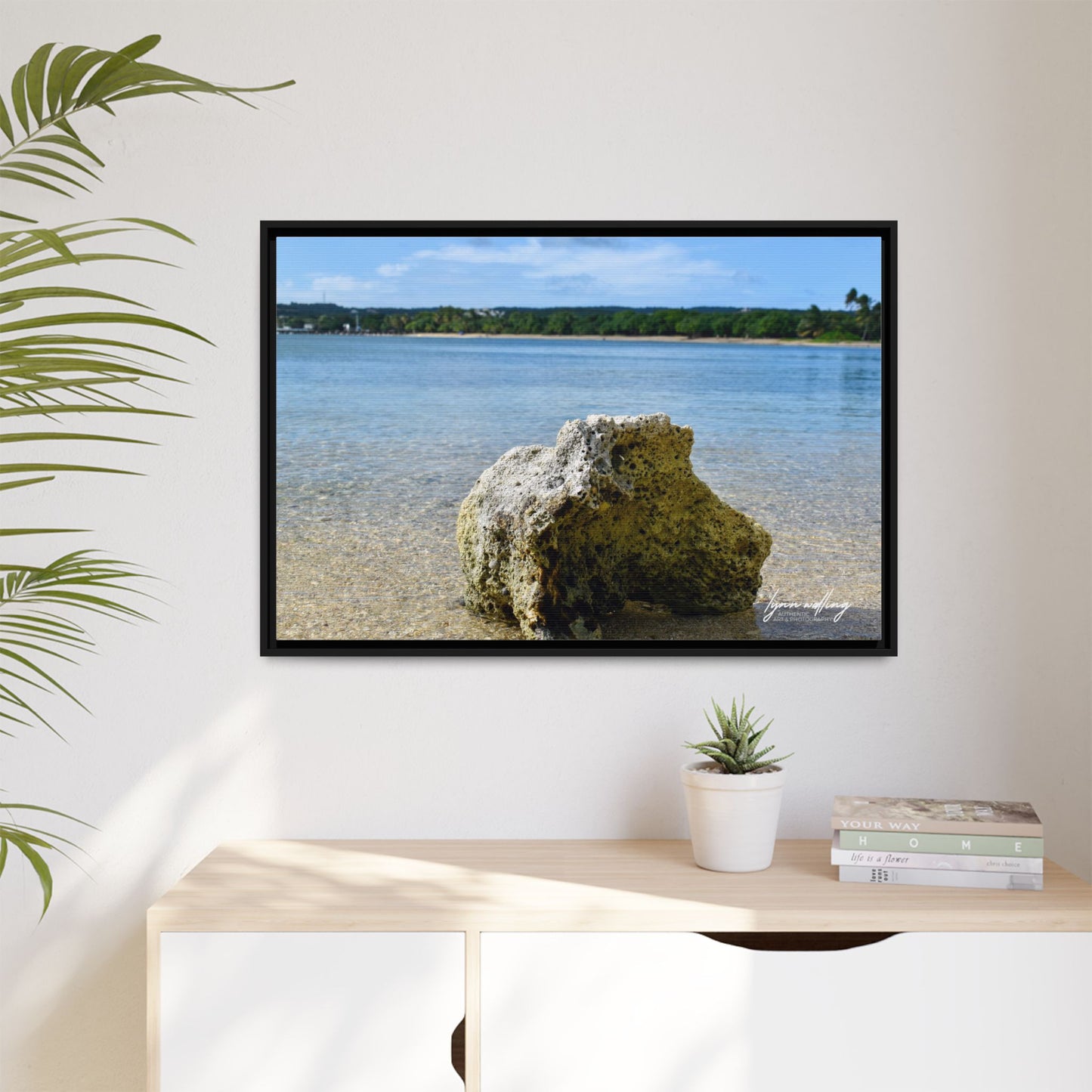 The View - Puerto Rico