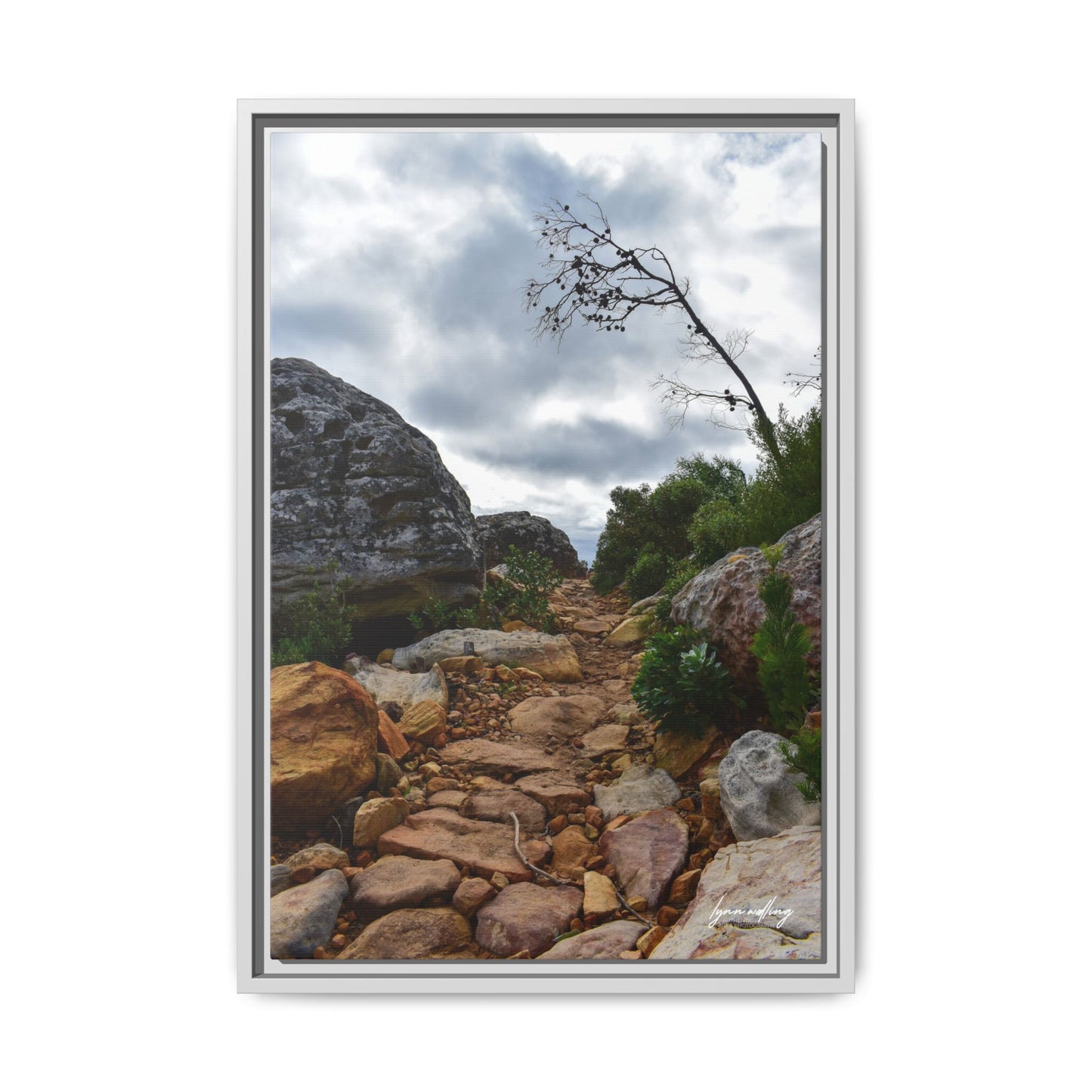 Path to Nowhere - Capetown