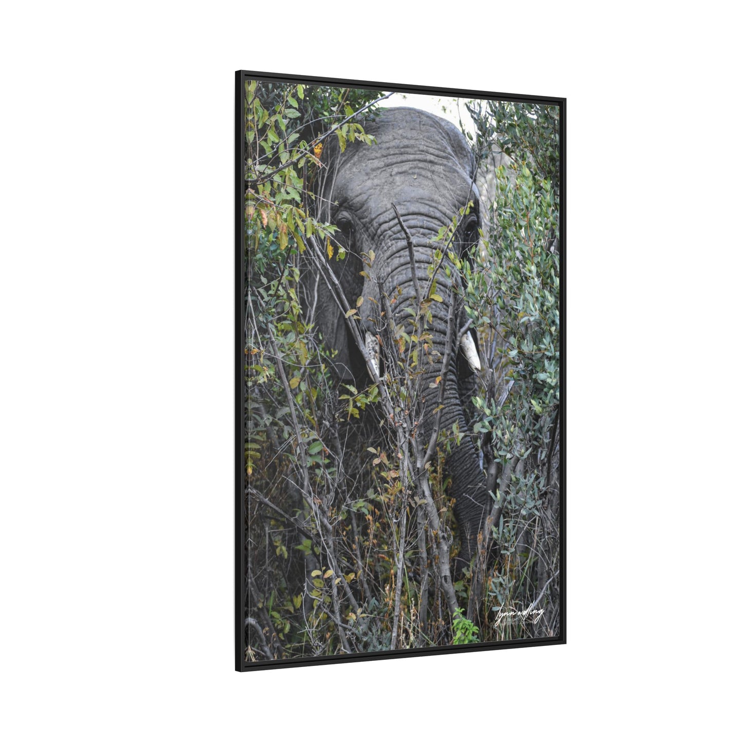 Eye to Eye - South Africa