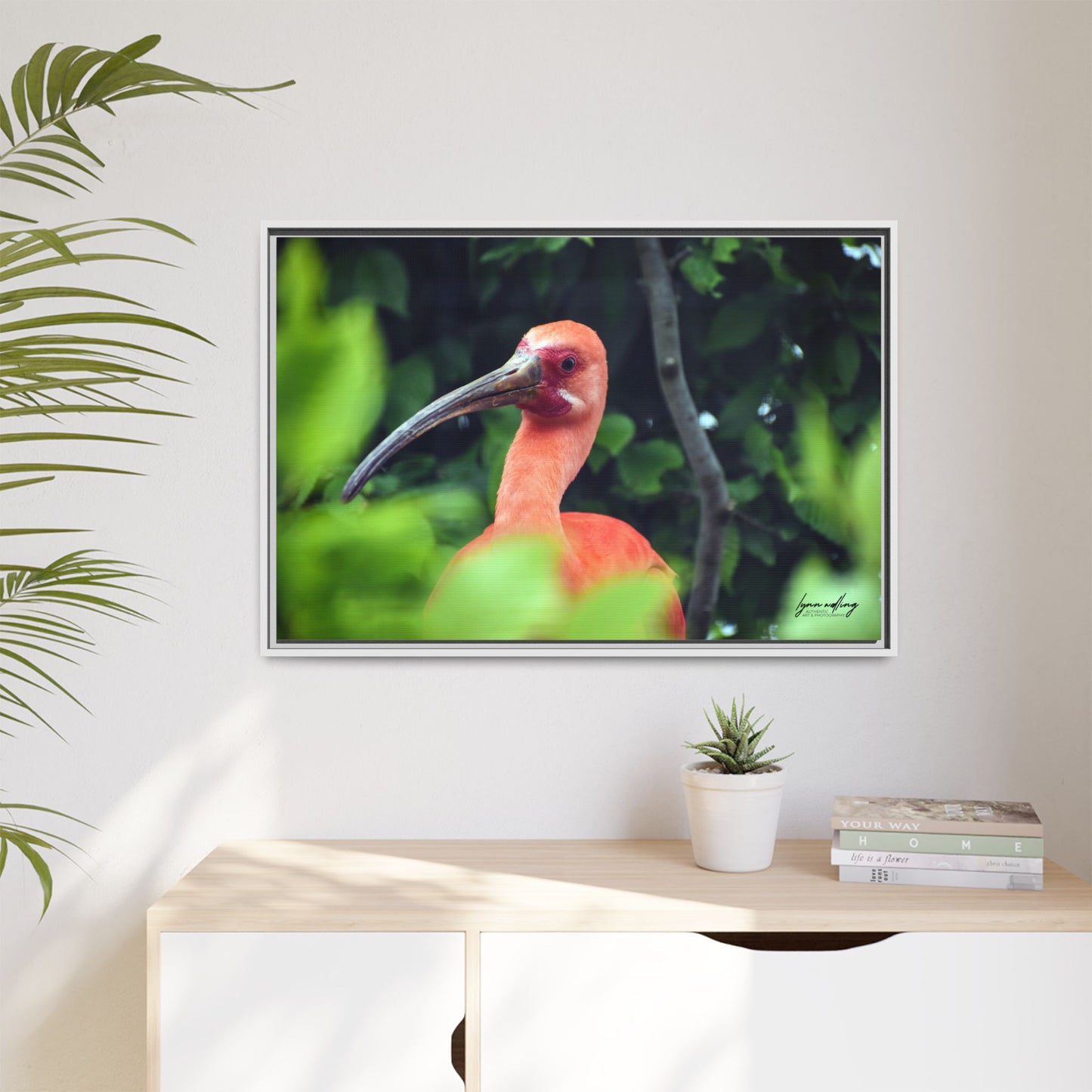 Wanna Be Flamingo - Switzerland