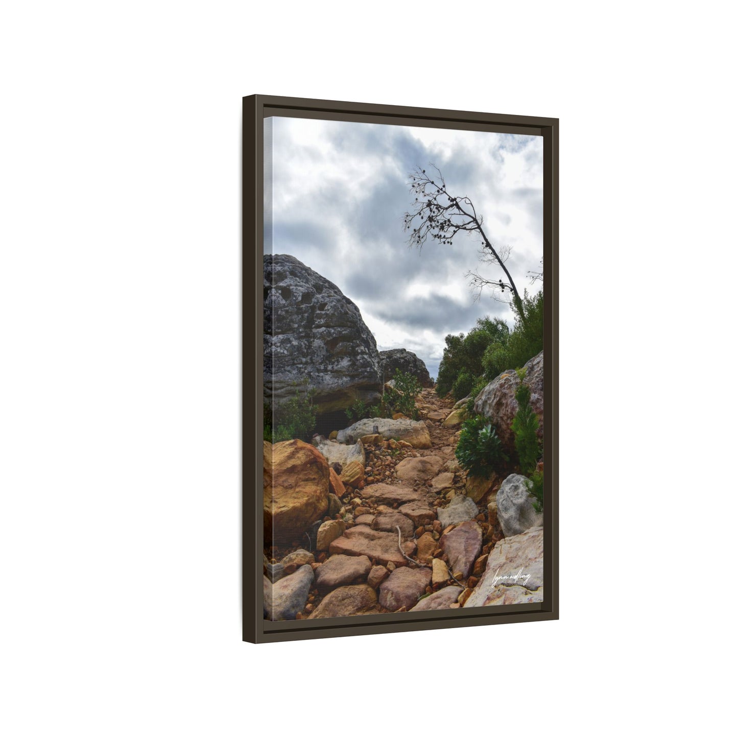 Path to Nowhere - Capetown