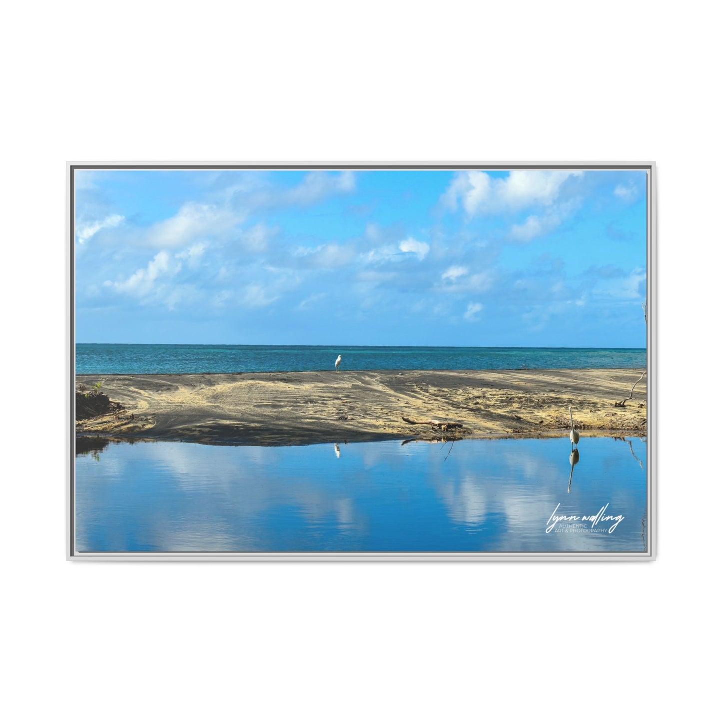 Wading - Puerto Rico