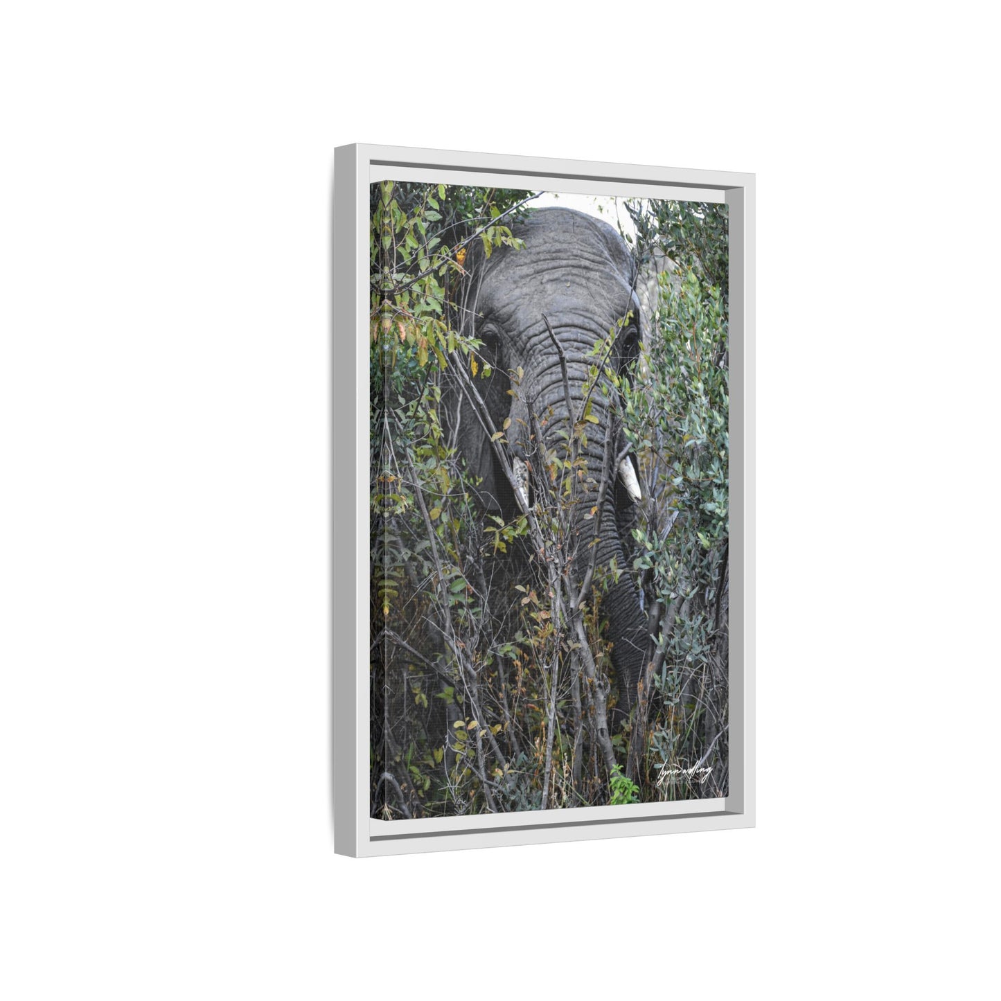 Eye to Eye - South Africa