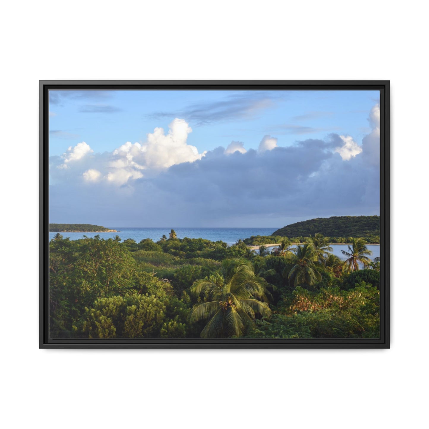 Tropical Sunset - Puerto Rico