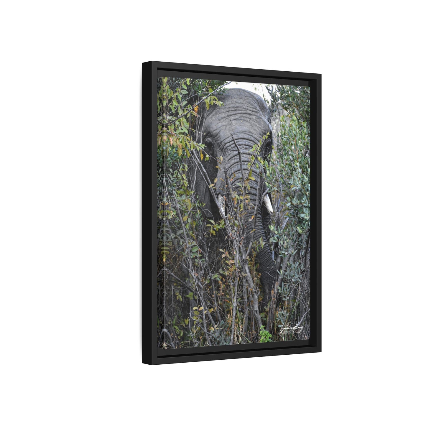 Eye to Eye - South Africa