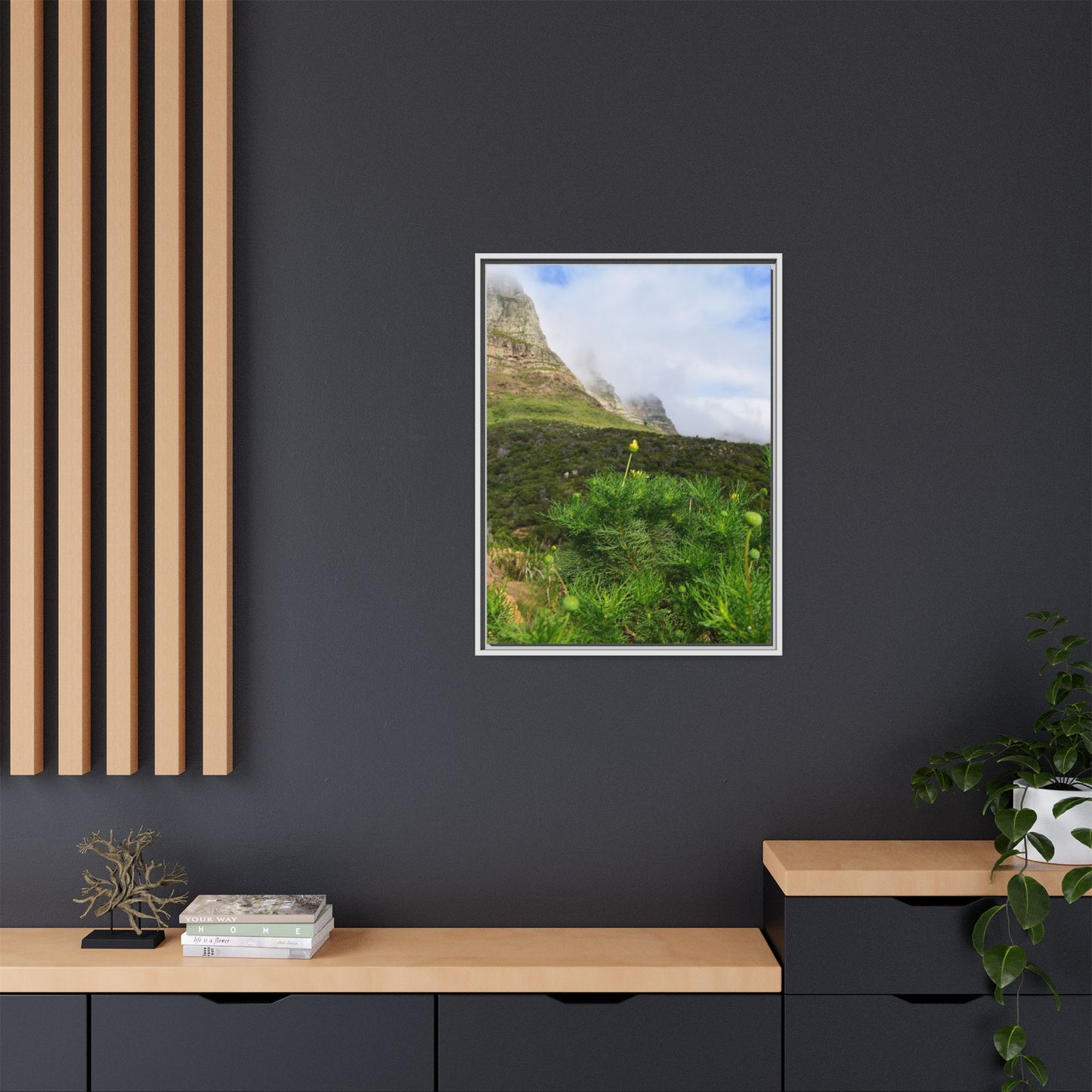 Wildflower - Capetown