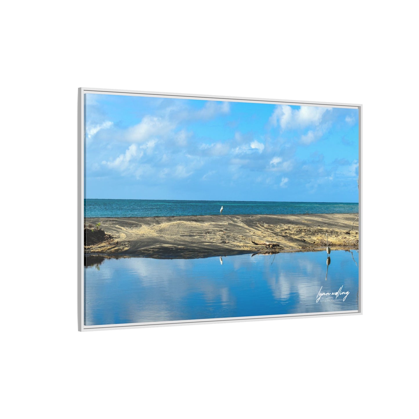 Wading - Puerto Rico