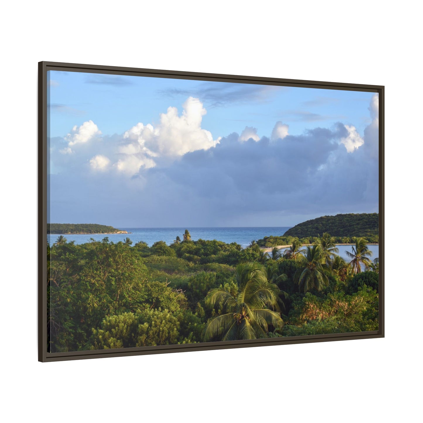 Tropical Sunset - Puerto Rico