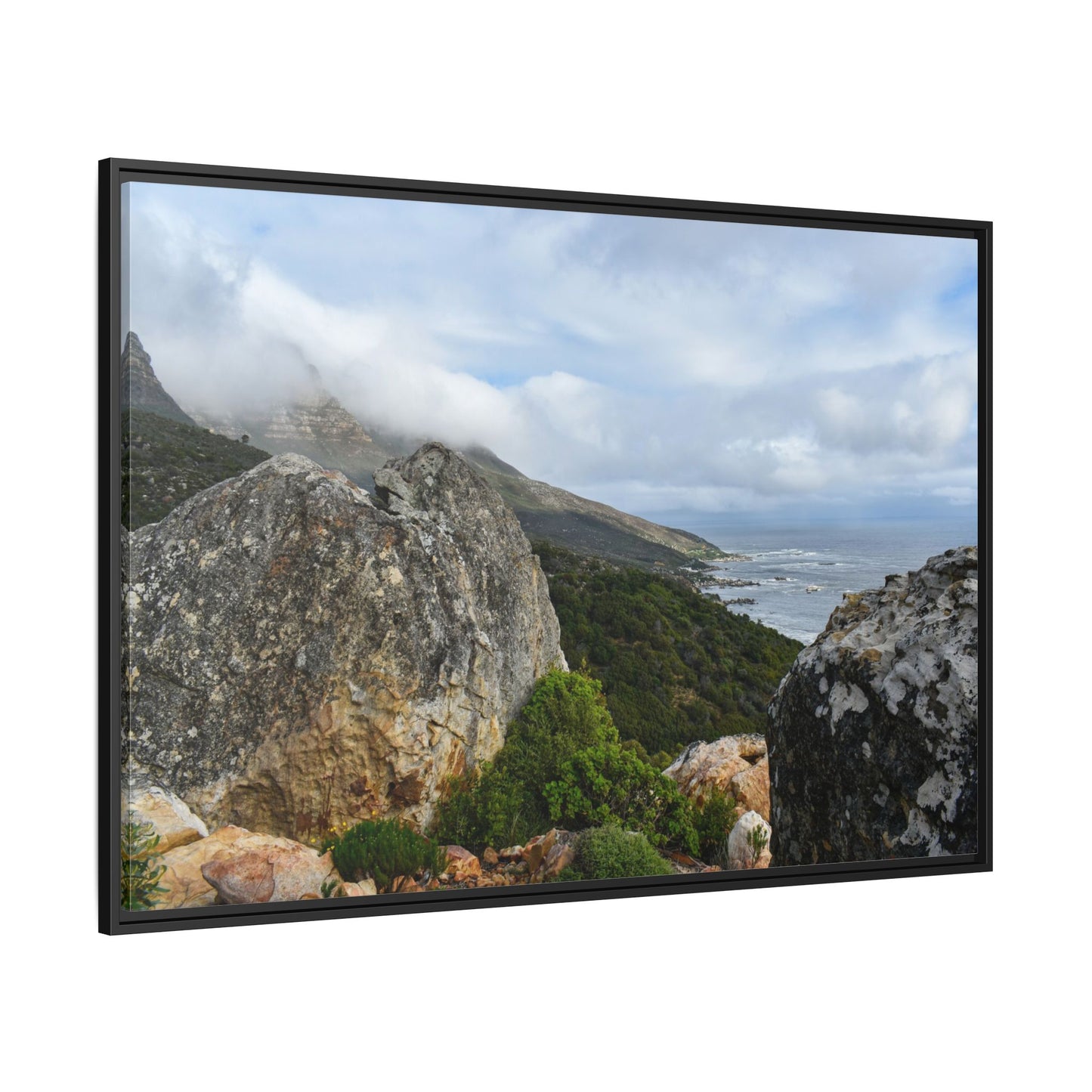 The View - Cape Town