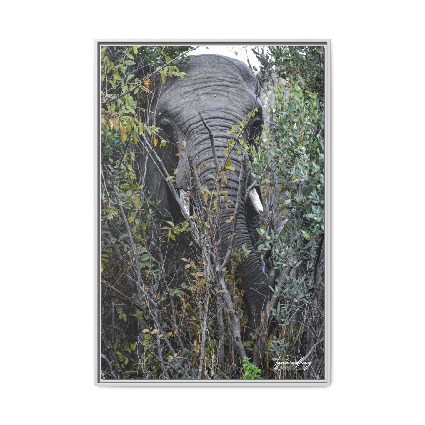 Eye to Eye - South Africa