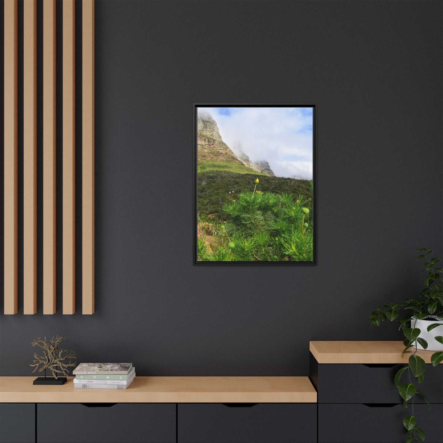 Wildflower - Capetown