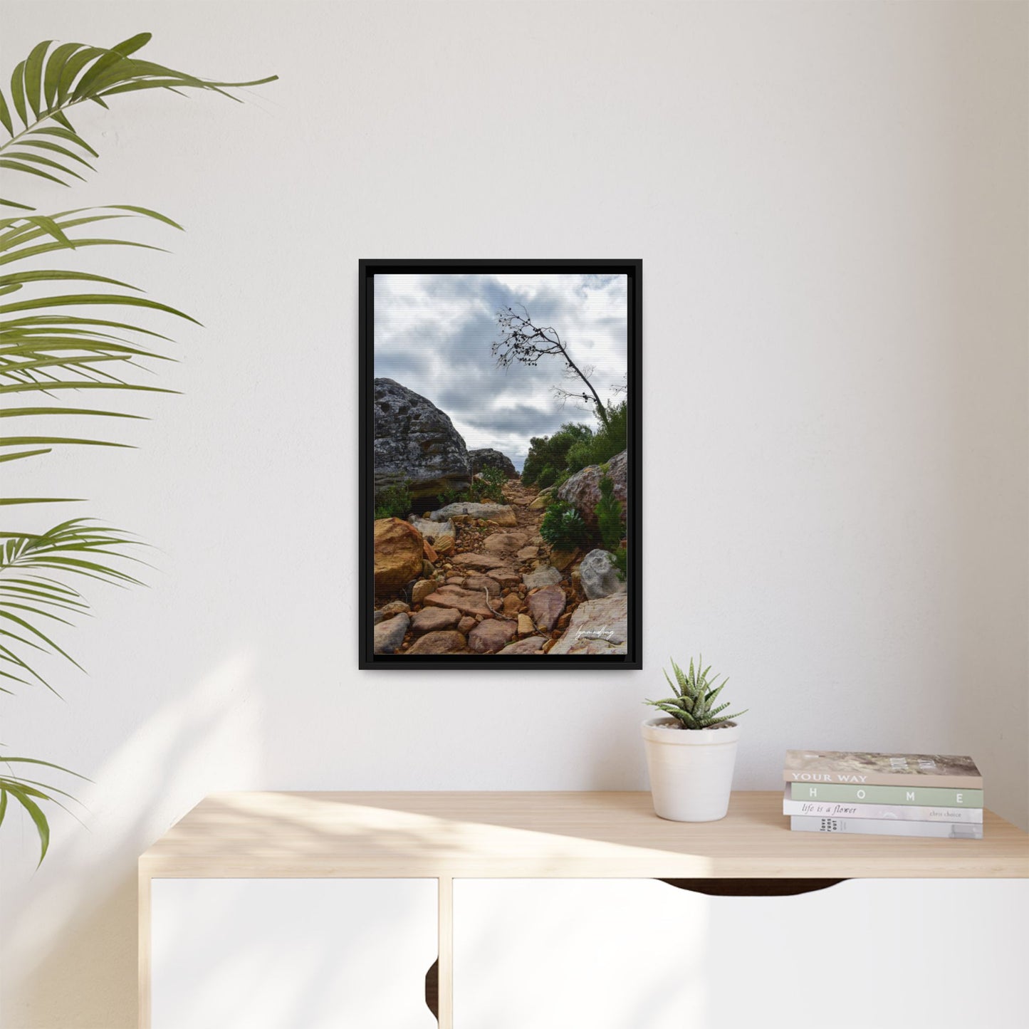 Path to Nowhere - Capetown