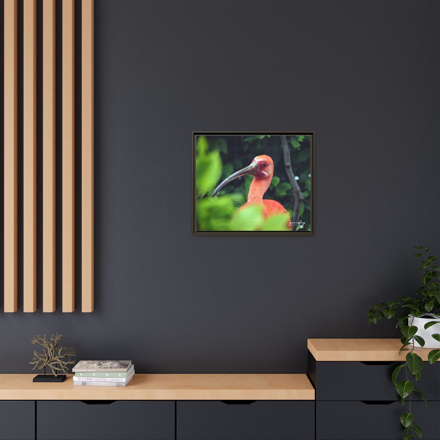 Wanna Be Flamingo - Switzerland