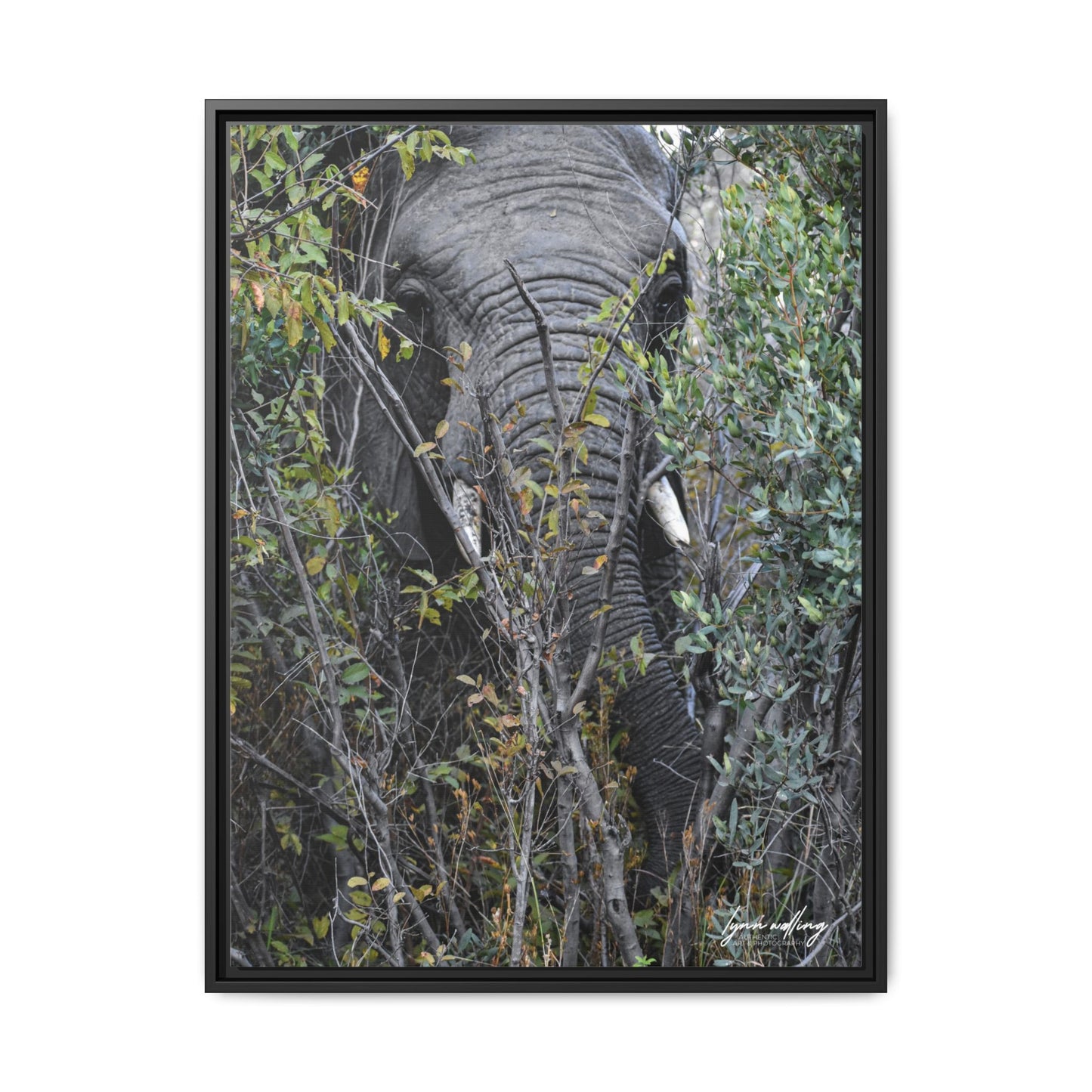 Eye to Eye - South Africa