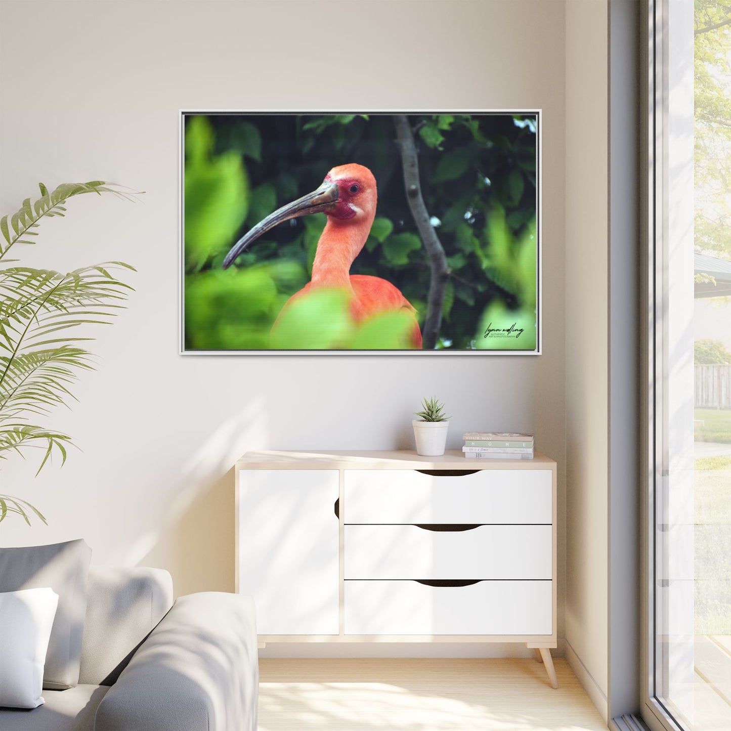 Wanna Be Flamingo - Switzerland