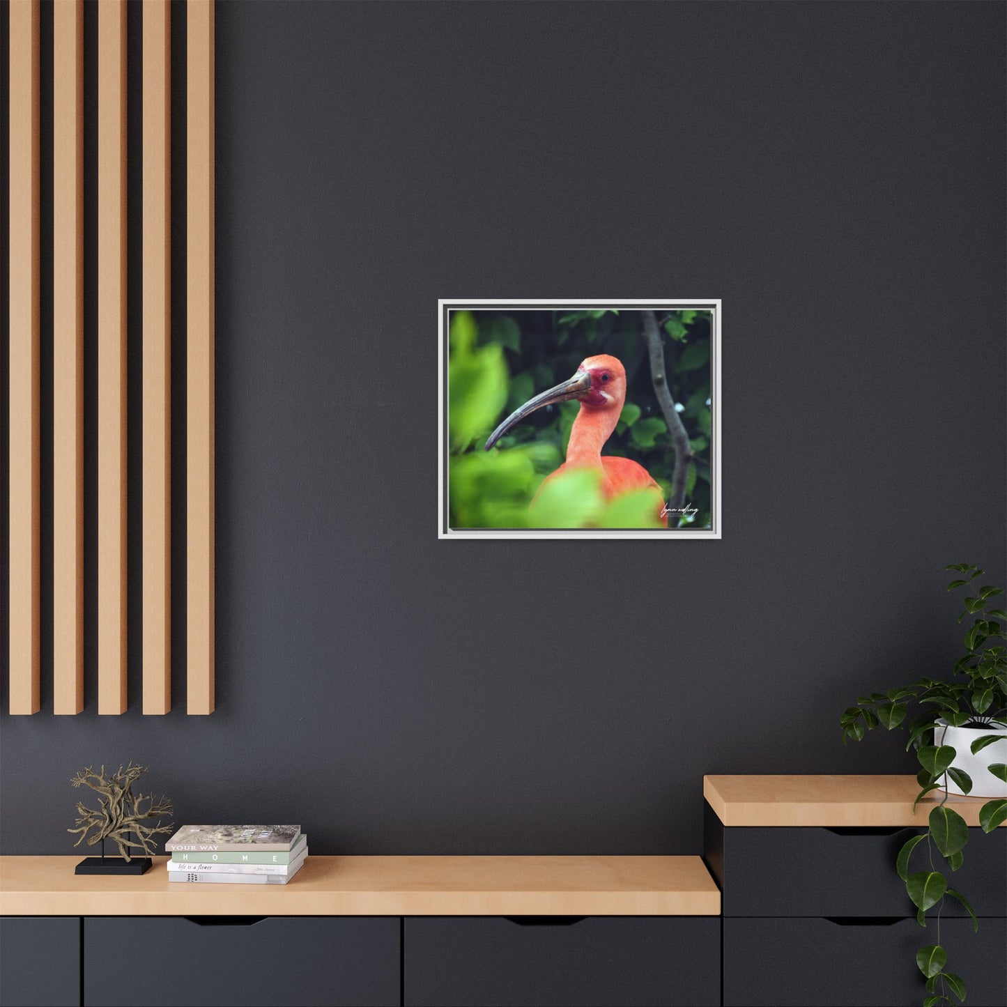 Wanna Be Flamingo - Switzerland