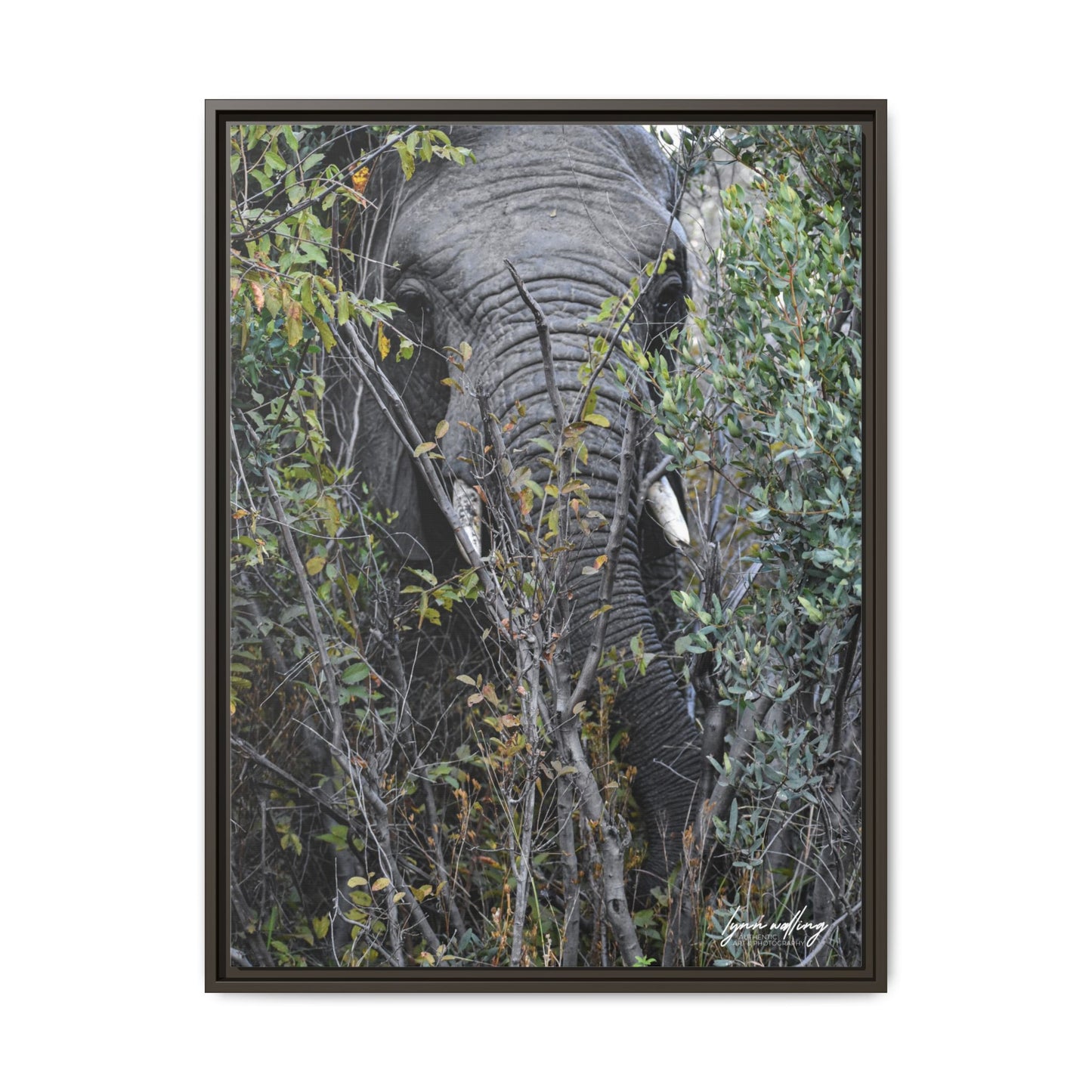 Eye to Eye - South Africa