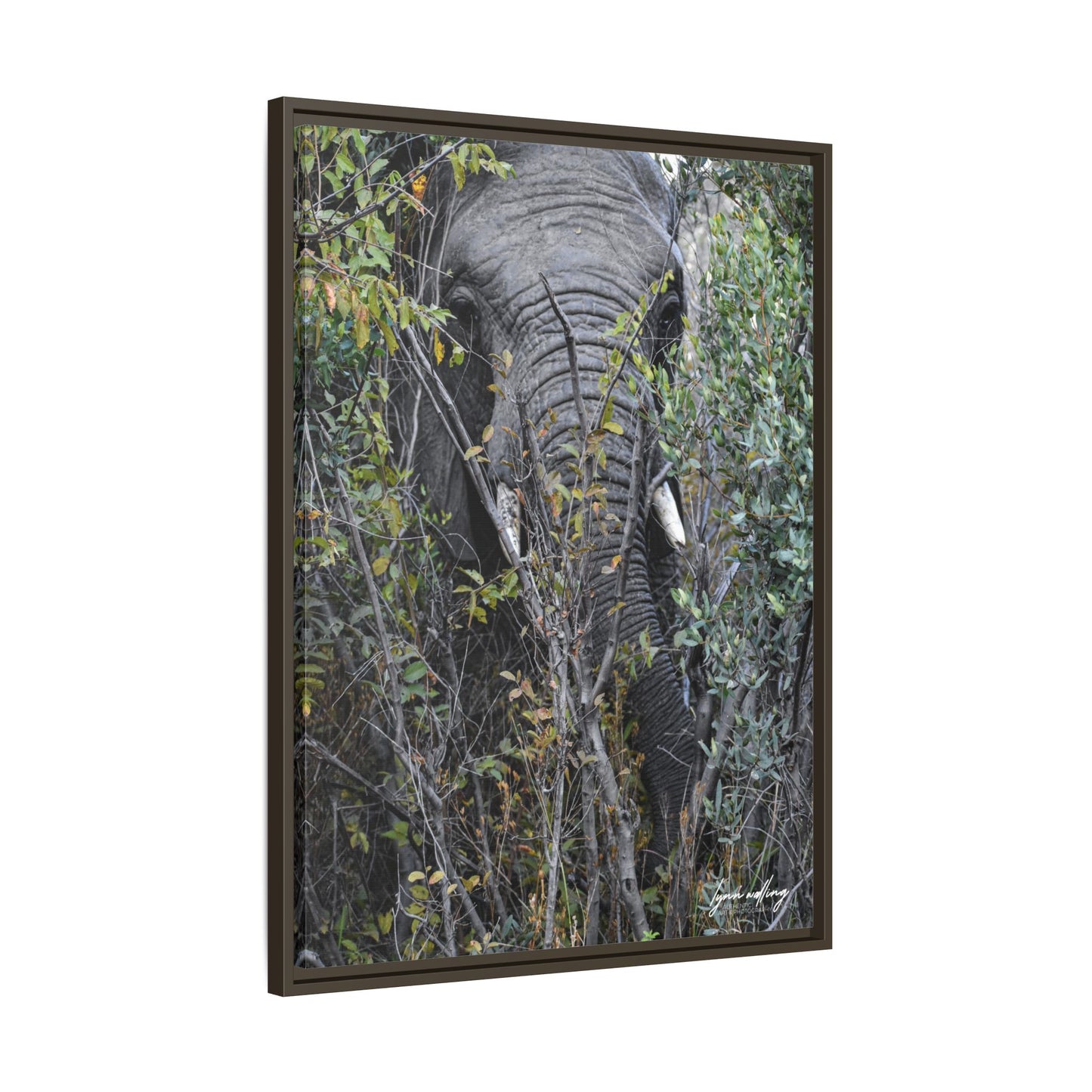 Eye to Eye - South Africa