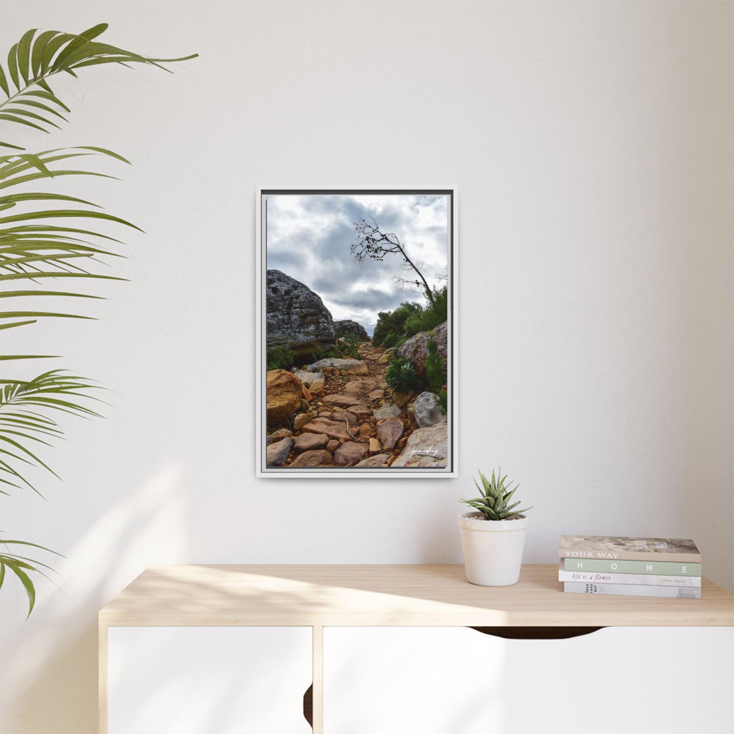 Path to Nowhere - Capetown