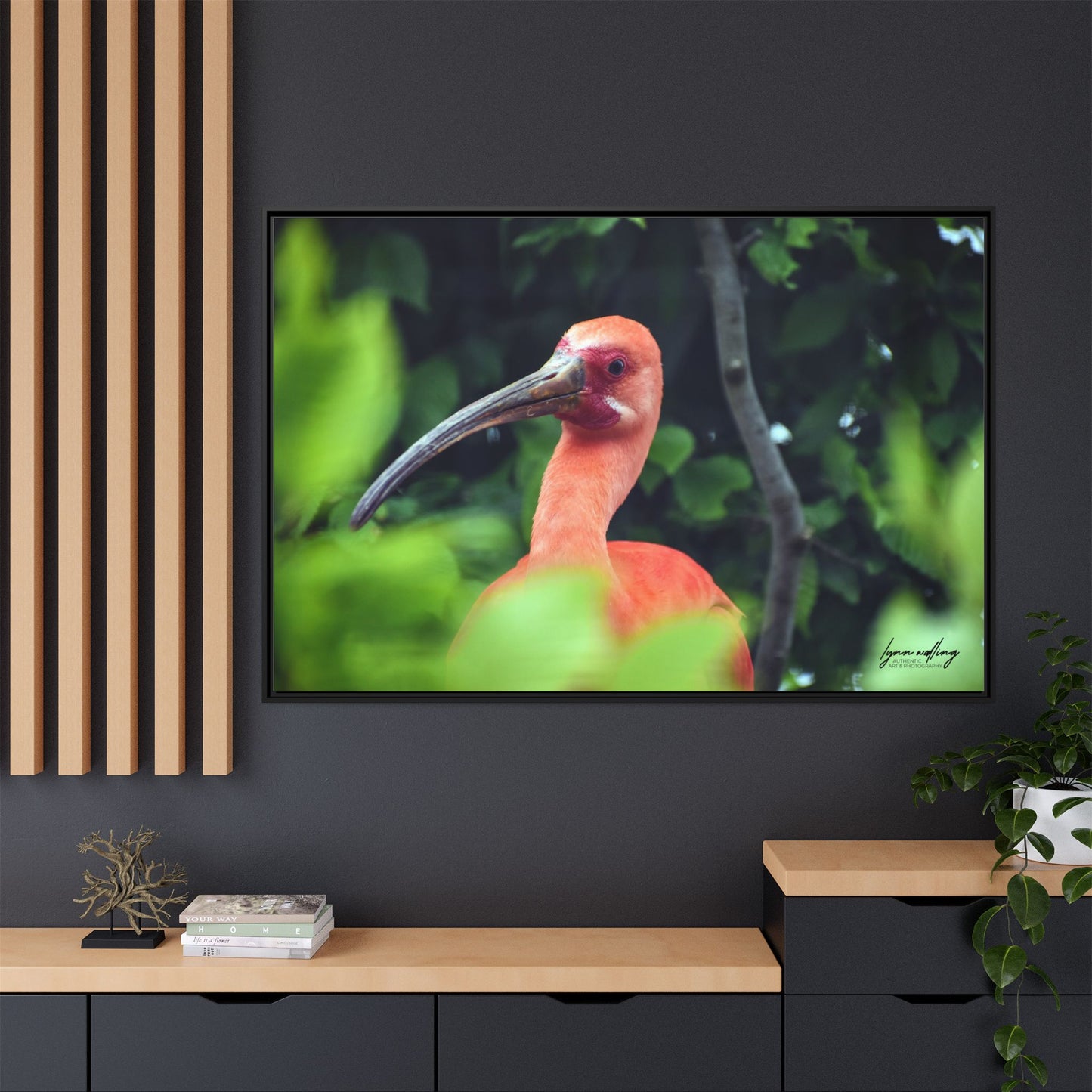 Wanna Be Flamingo - Switzerland