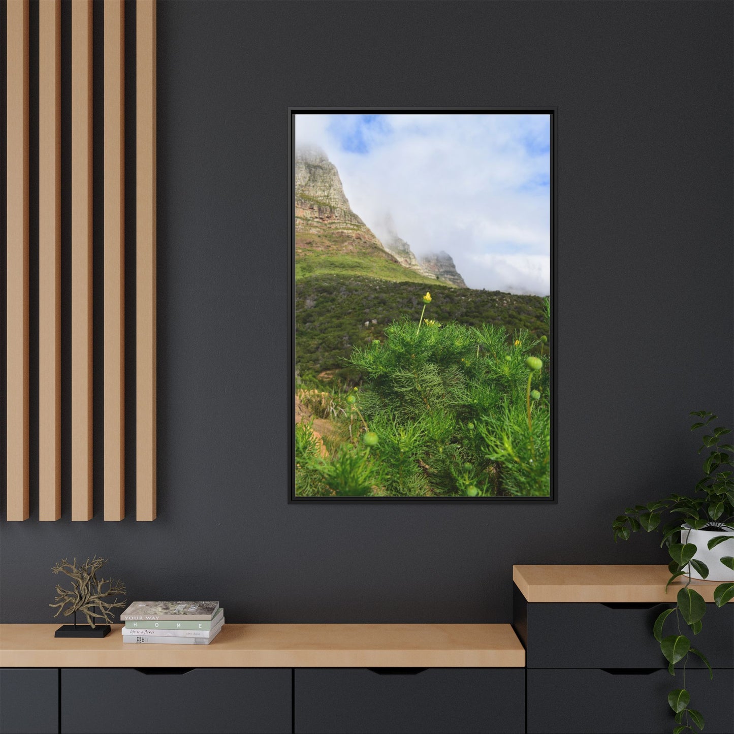 Wildflower - Capetown